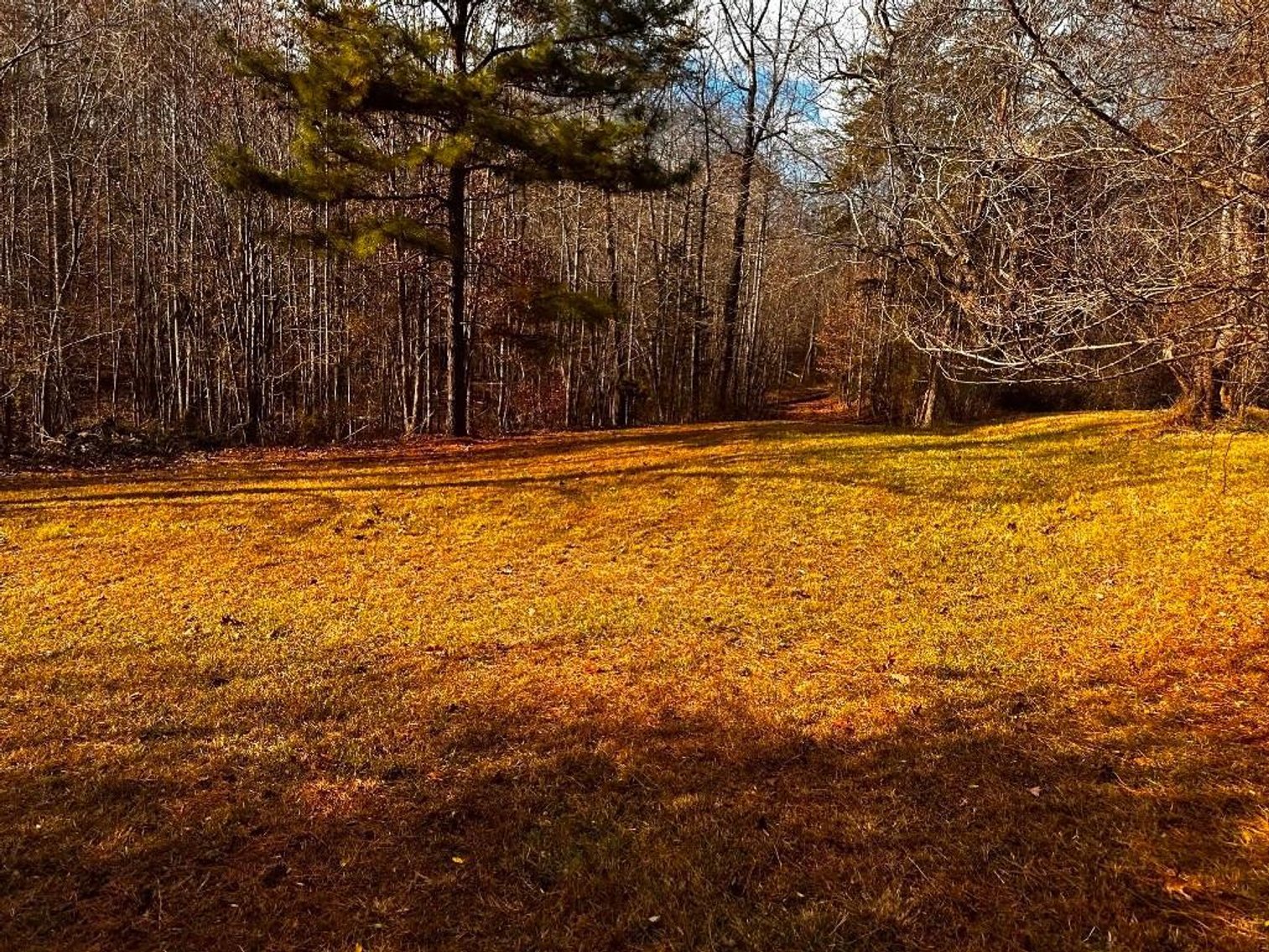 Image for House On 8 +/- Acres Callands VA