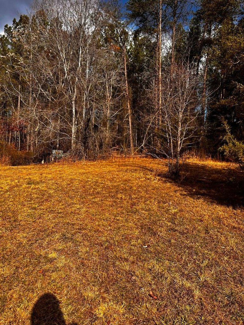Image for House On 8 +/- Acres Callands VA