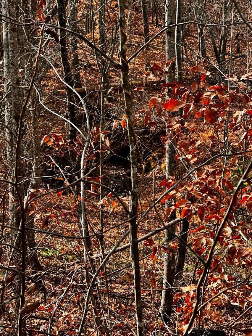 Image for House On 8 +/- Acres Callands VA