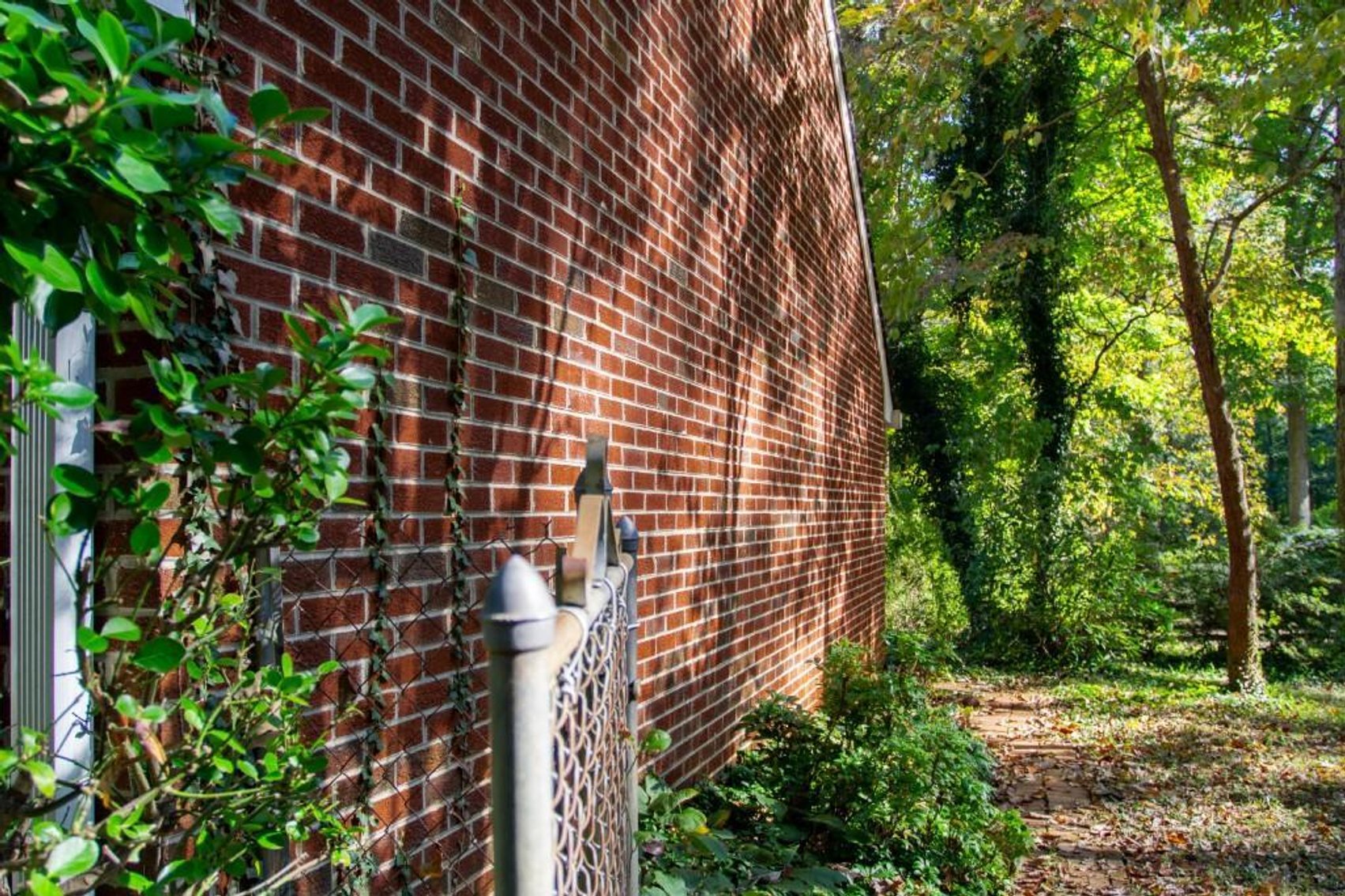 Image for Forest Real Estate Auction