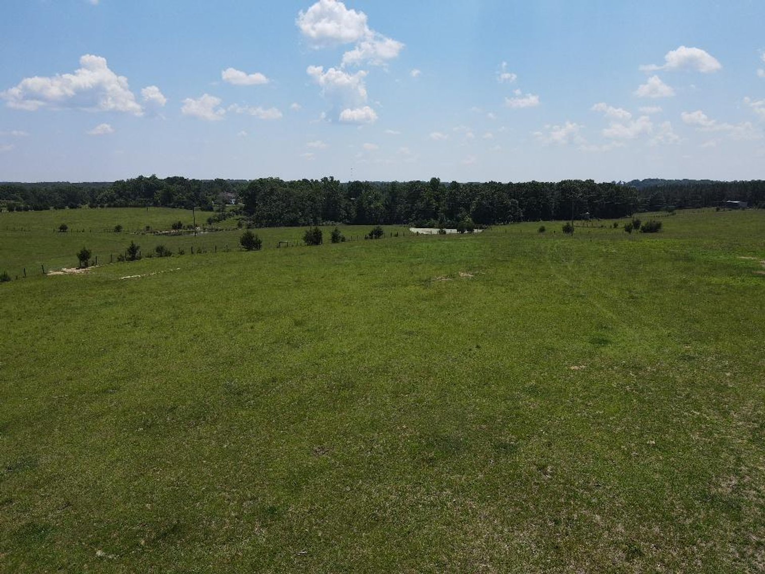 Image for ** SOLD PRIOR TO AUCTION**  Selling For The Estate of Robert Owen 152.97 Ac in Brookneal, VA