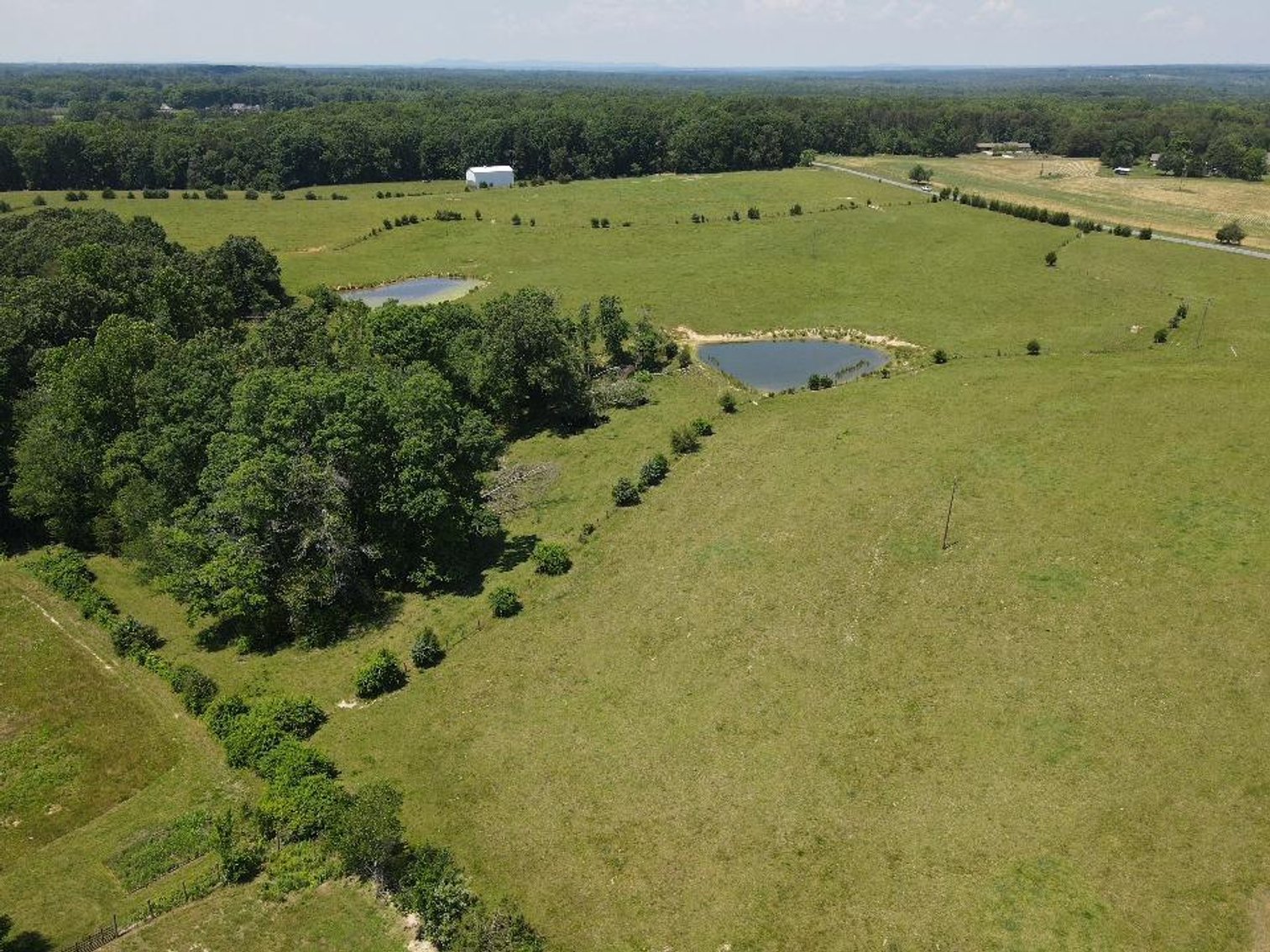 Image for ** SOLD PRIOR TO AUCTION**  Selling For The Estate of Robert Owen 152.97 Ac in Brookneal, VA
