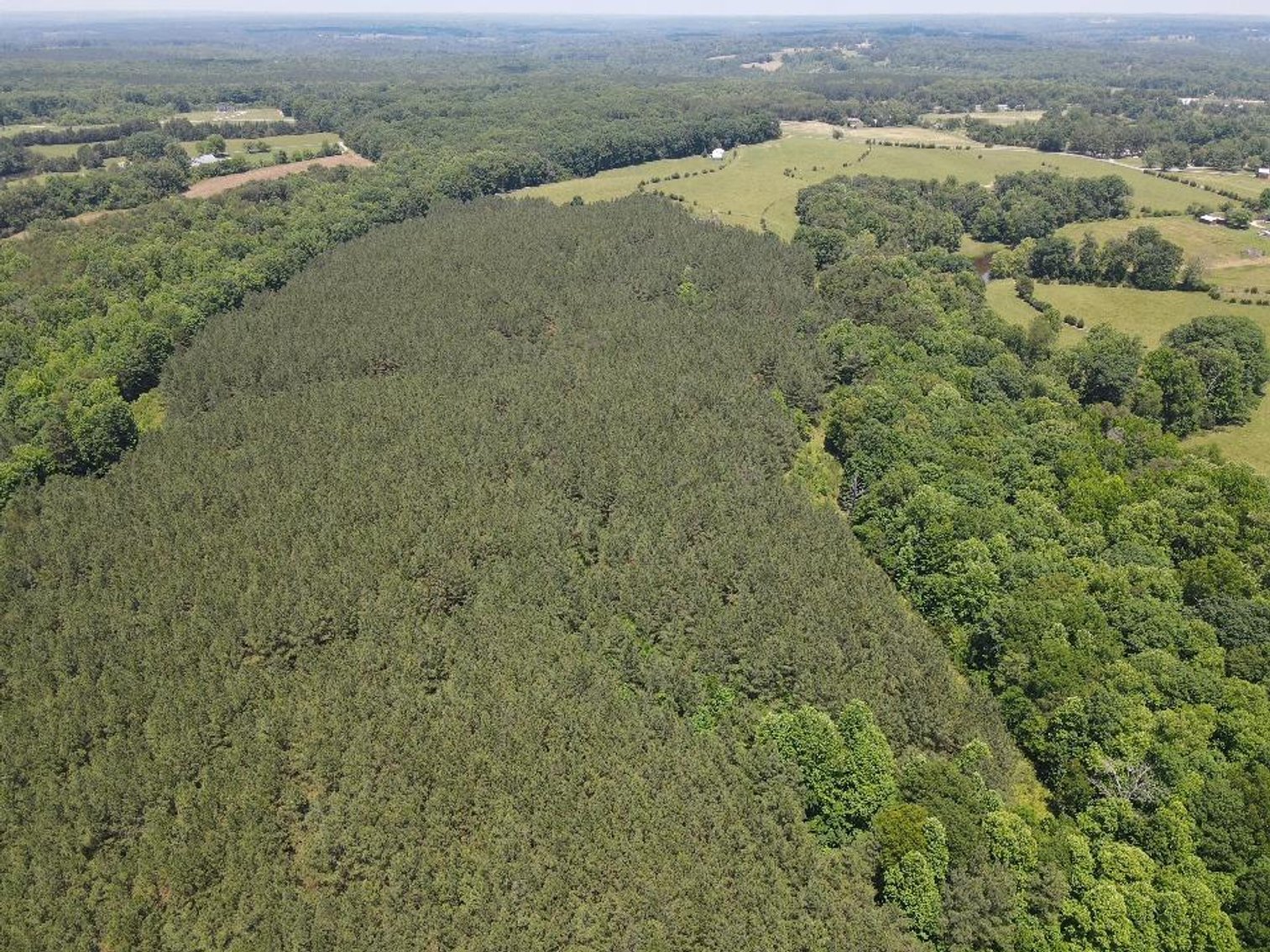 Image for ** SOLD PRIOR TO AUCTION**  Selling For The Estate of Robert Owen 152.97 Ac in Brookneal, VA