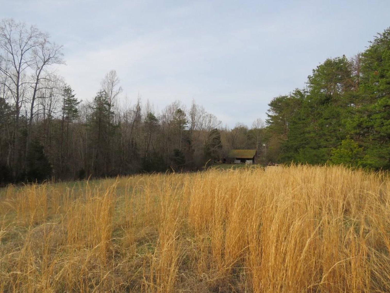 Image for Nathalie Estate Auction - Home on 70.82 Ac in Nathalie, VA