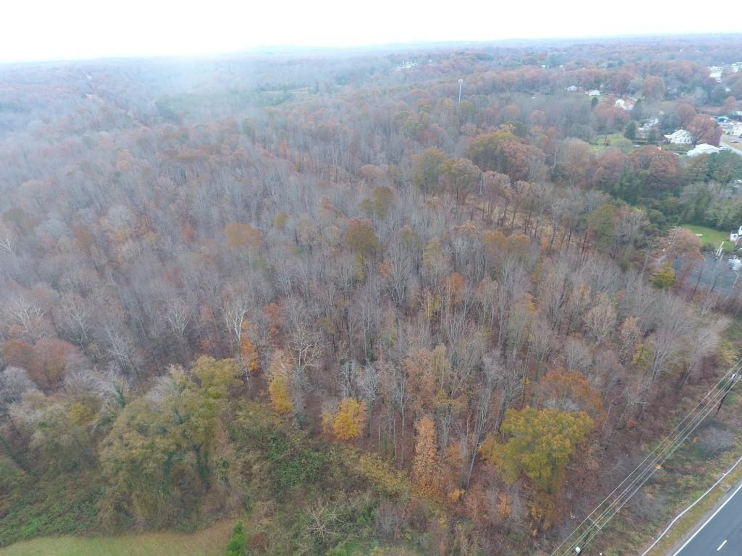 Image for 10 + Acre Land Auction in Monroe, VA