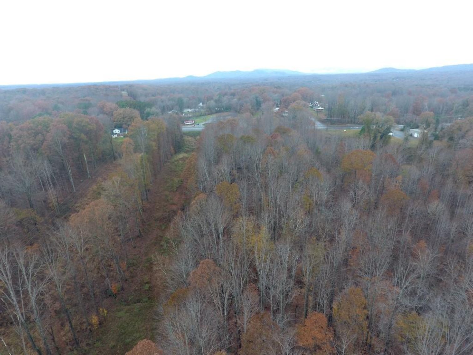 Image for 10 + Acre Land Auction in Monroe, VA