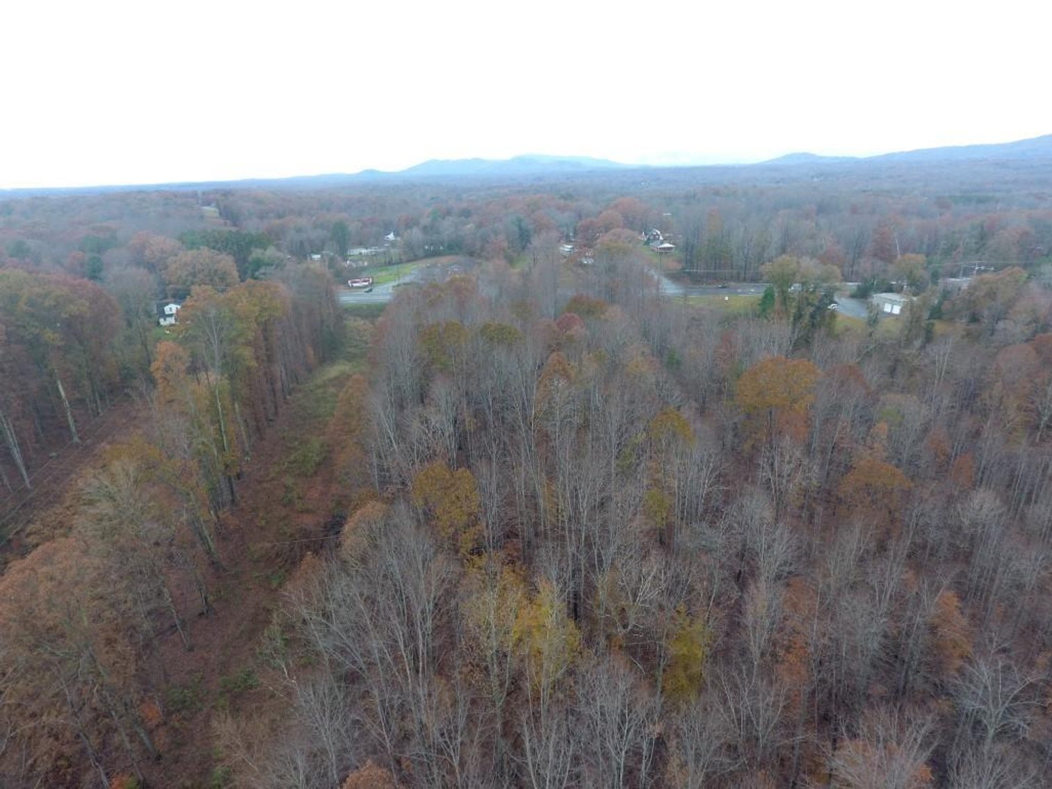 Image for 10 + Acre Land Auction in Monroe, VA