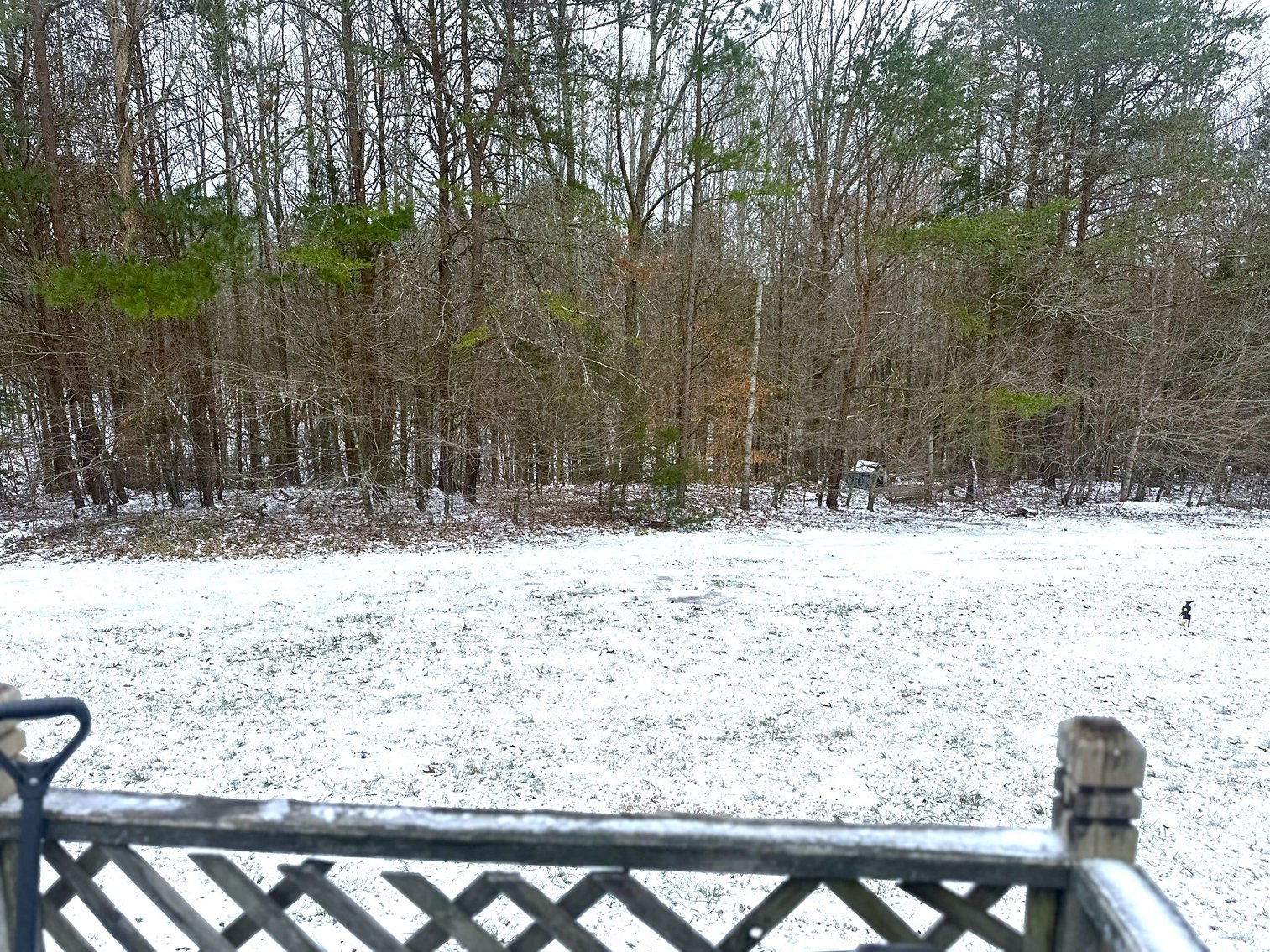 Image for 176 Buttercup Ln, Rustburg, VA 24588