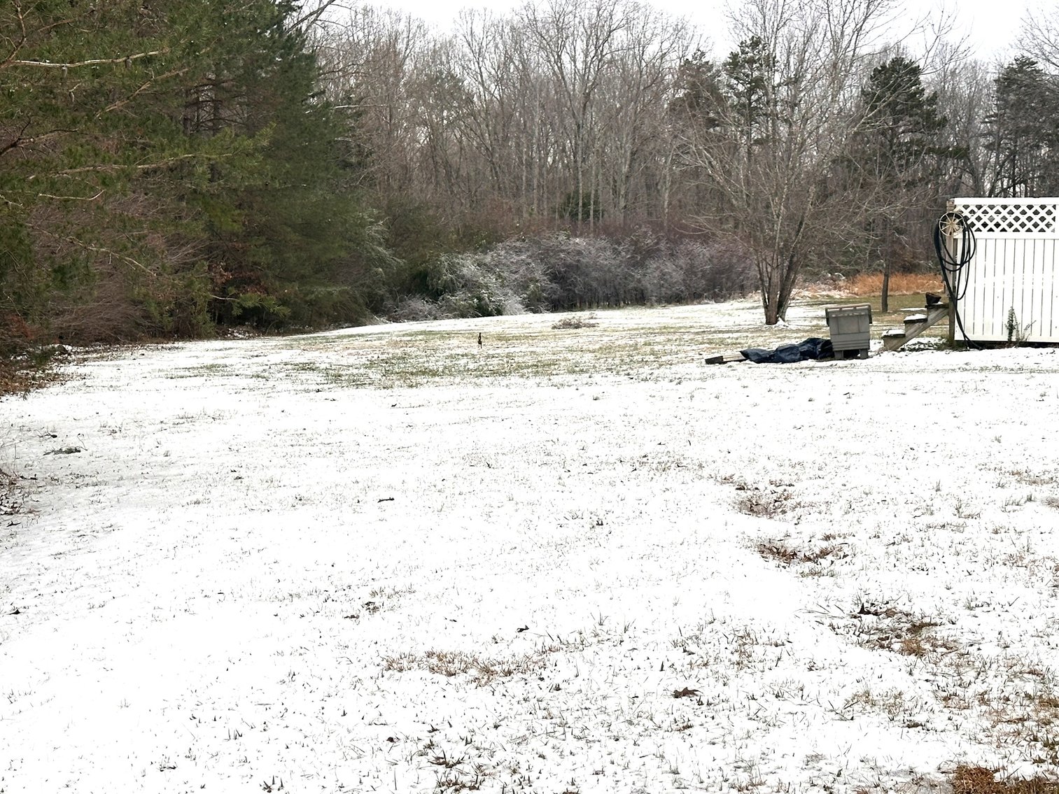 Image for 176 Buttercup Ln, Rustburg, VA 24588