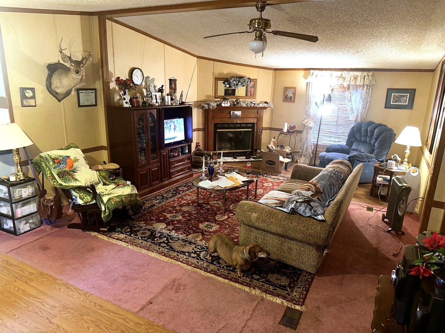 Image for 176 Buttercup Ln, Rustburg, VA 24588