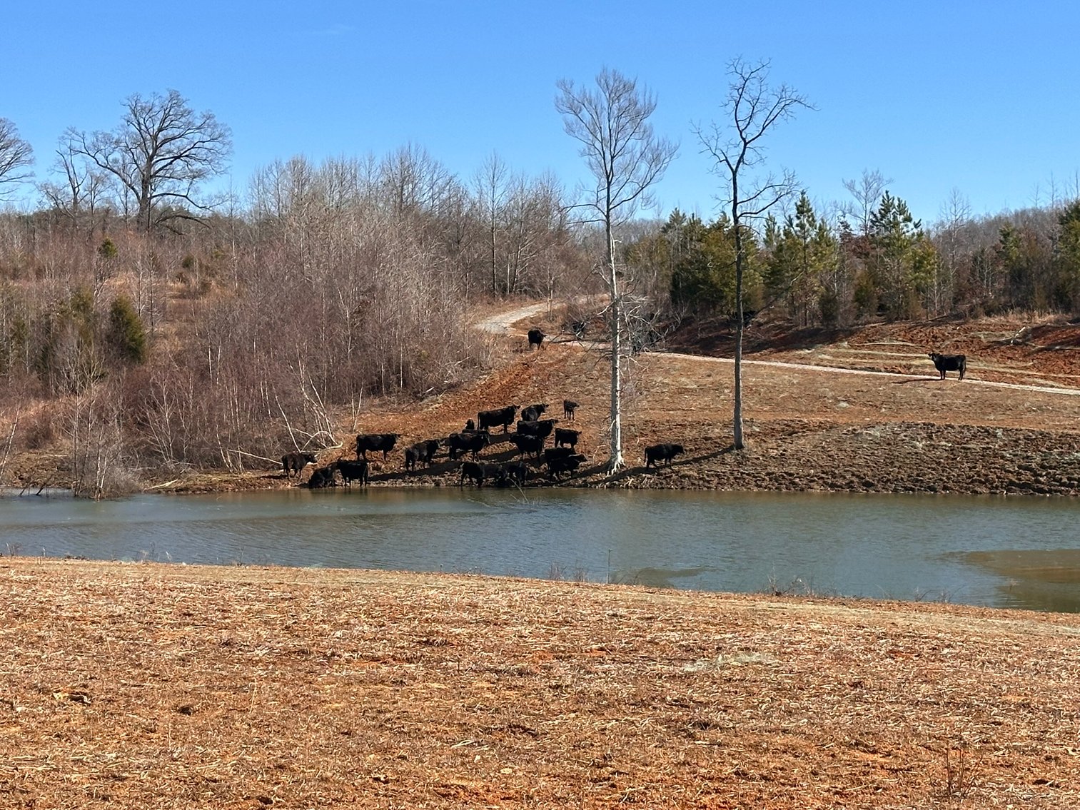 Image for 1081 Lennig Road, Nathalie, VA 24577