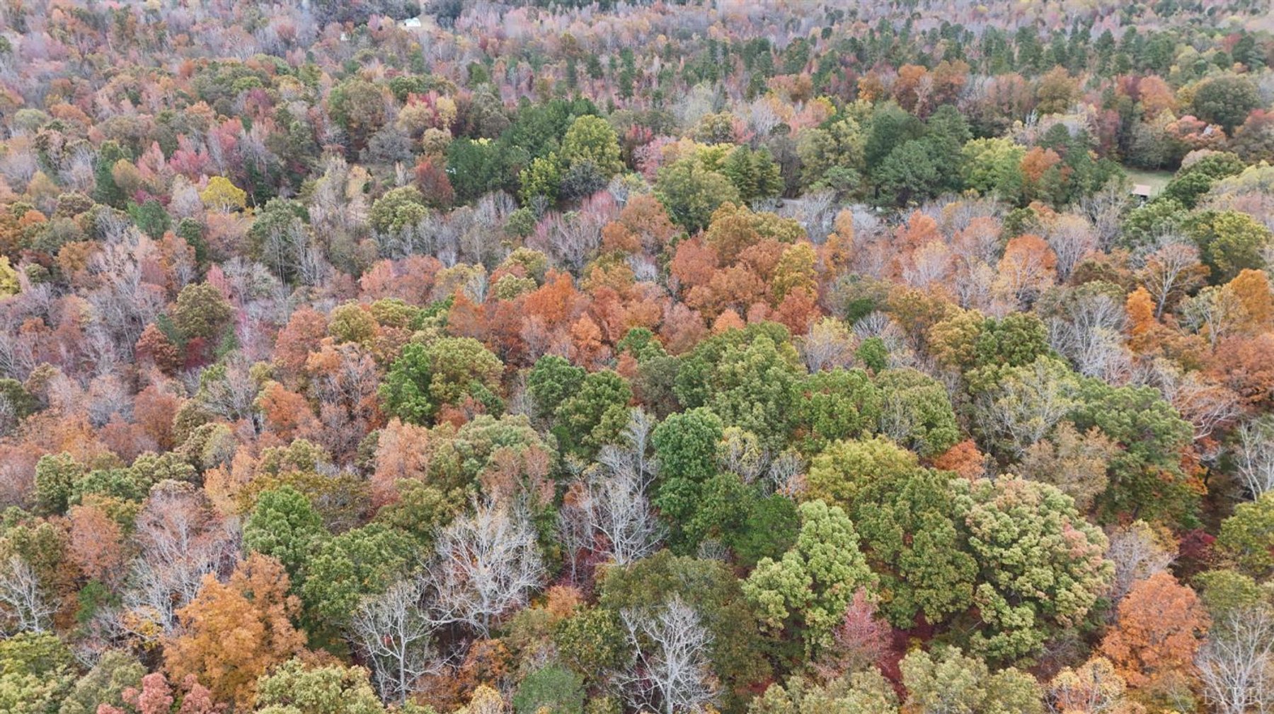 Image for Tract C Acorn Rd, Nathalie, VA 24577