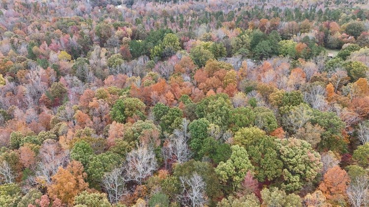 Image for Tract C Acorn Rd, Nathalie, VA 24577