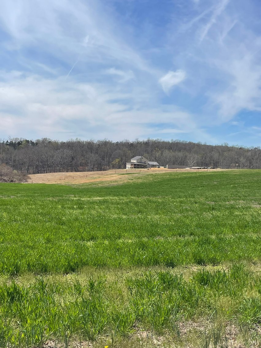 Image for 423 +/- Ac in Charlotte County, VA