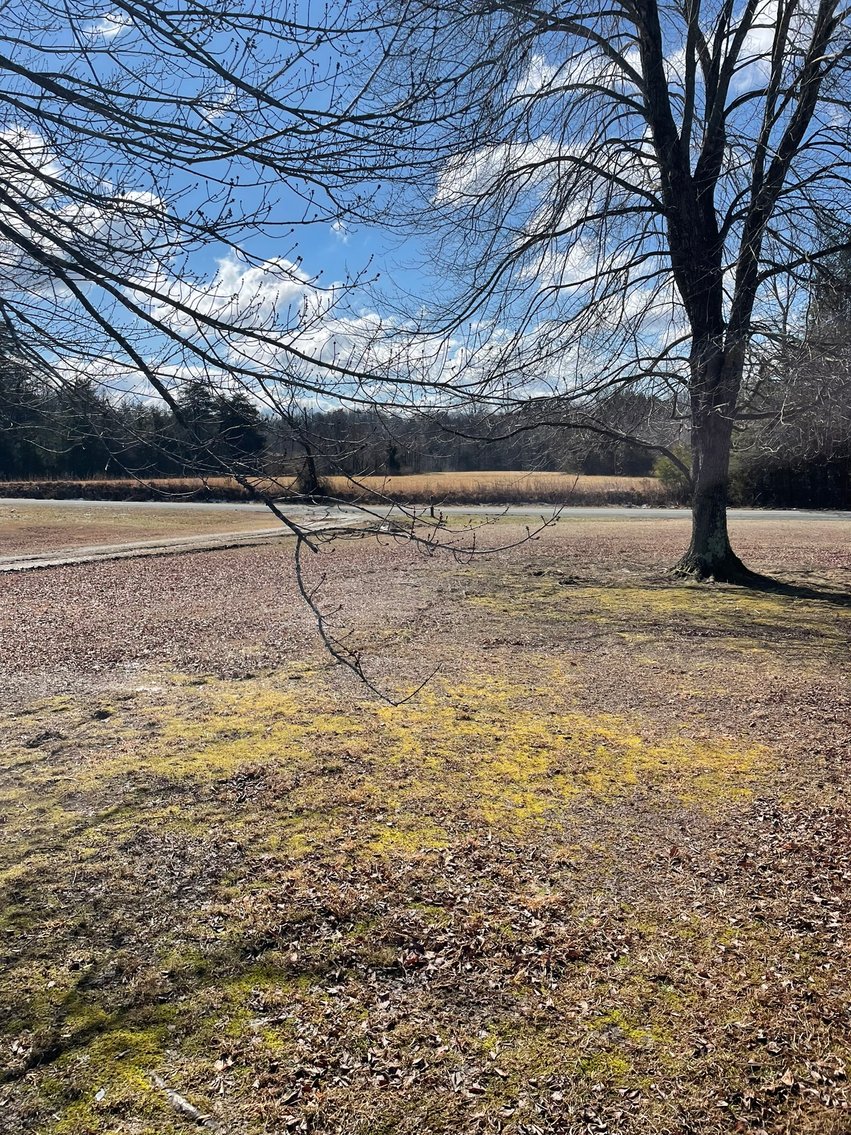 Image for 1981 & 2037 Piney Grove Rd, Gretna, VA 24557
