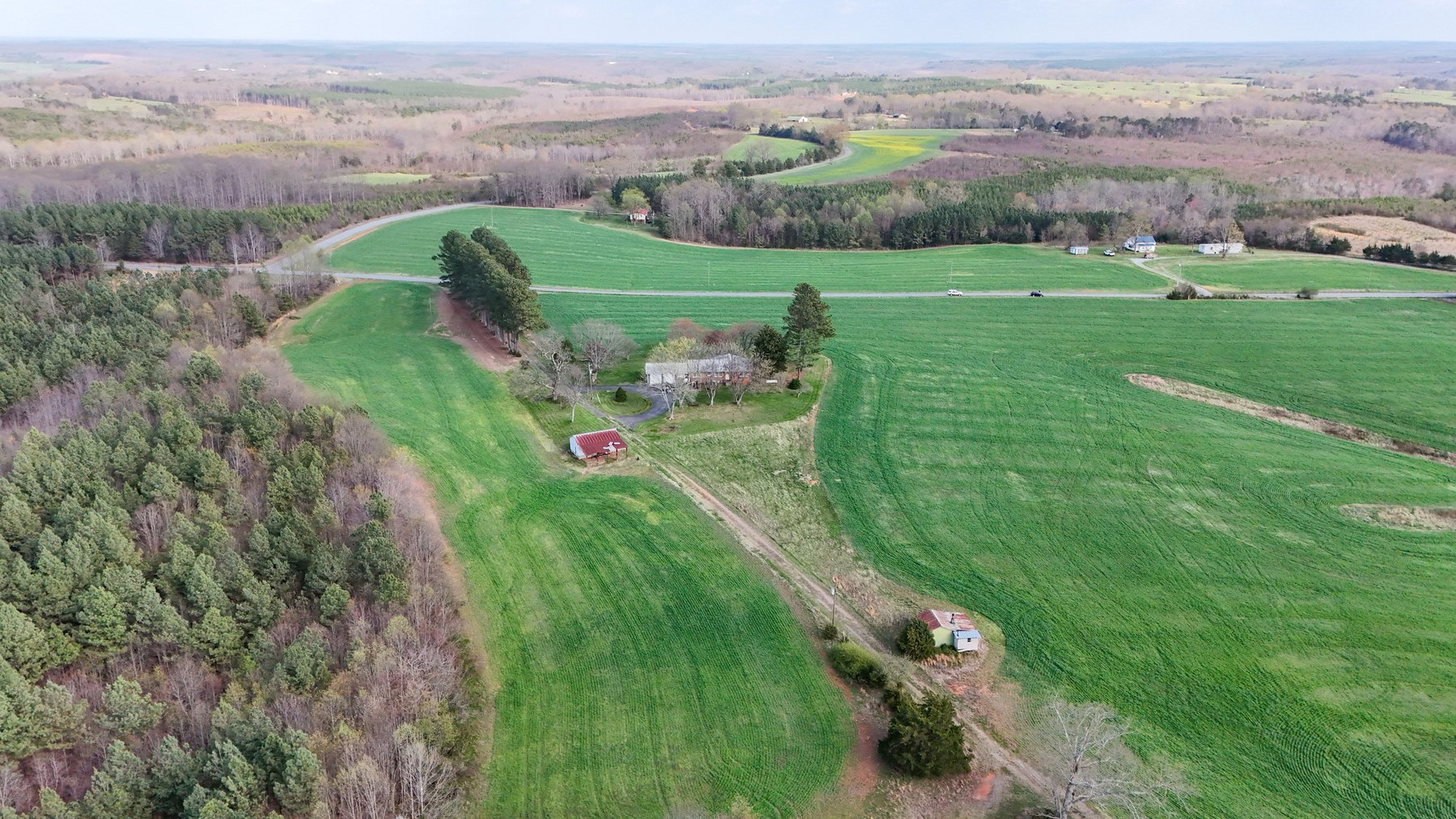 Image for 120 Acres In Gladys Being Sold in Multiple Tracts