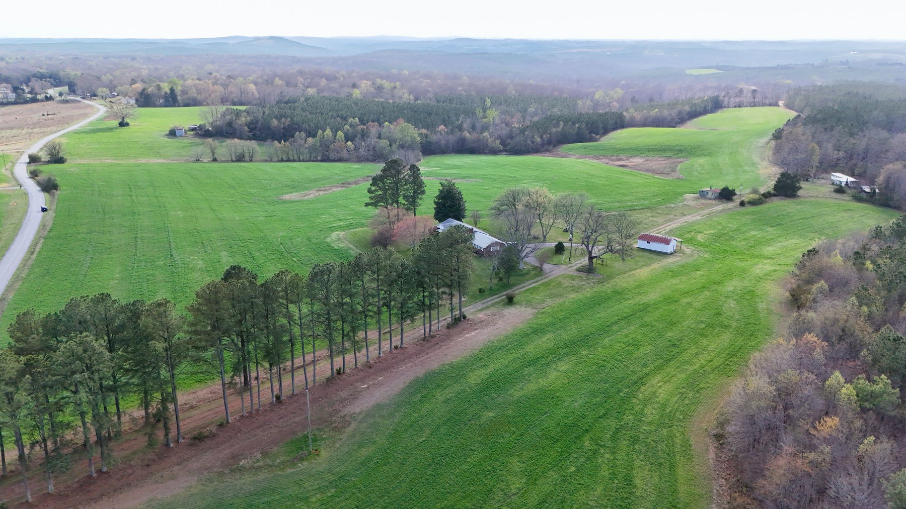 Image for 120 Acres In Gladys Being Sold in Multiple Tracts