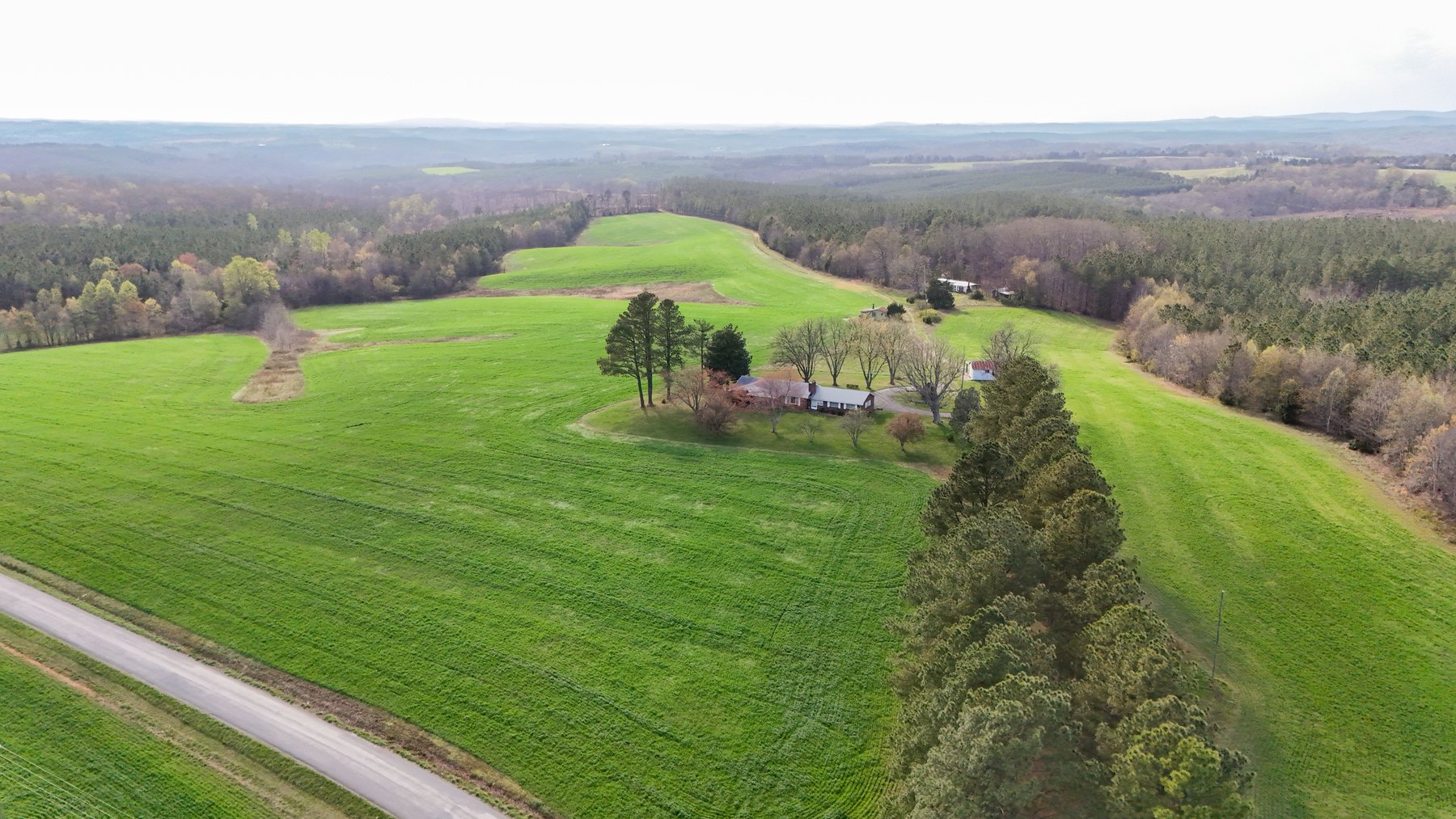 Image for 120 Acres In Gladys Being Sold in Multiple Tracts