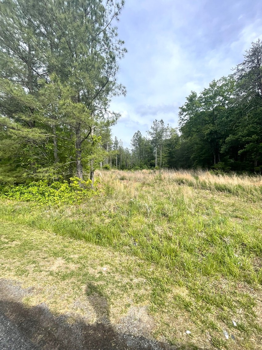 Image for Lot 2D  Three Creeks Rd,  Gladys, VA  24554