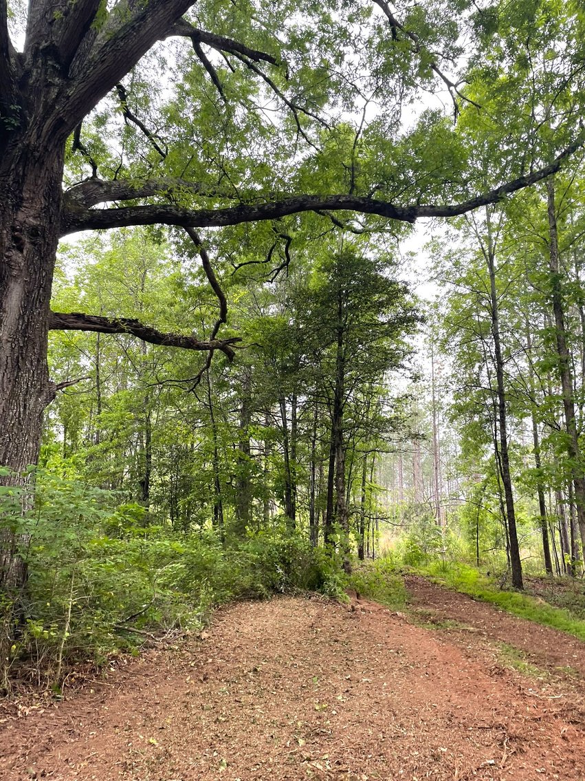 Image for Lot 2D  Three Creeks Rd,  Gladys, VA  24554