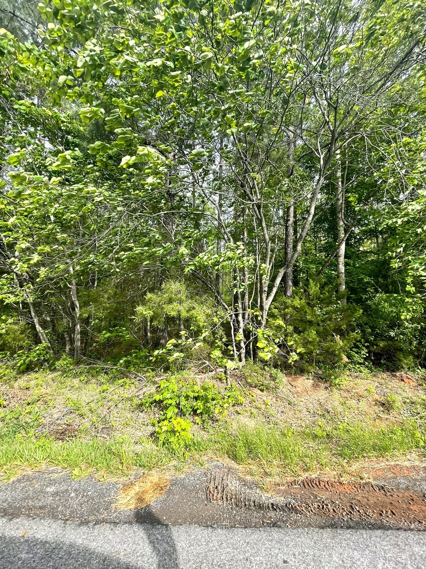 Image for Lot 2D  Three Creeks Rd,  Gladys, VA  24554