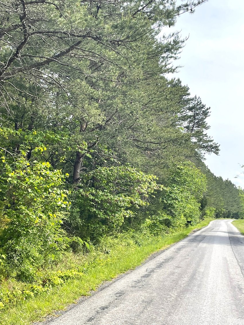 Image for Lot 2D  Three Creeks Rd,  Gladys, VA  24554