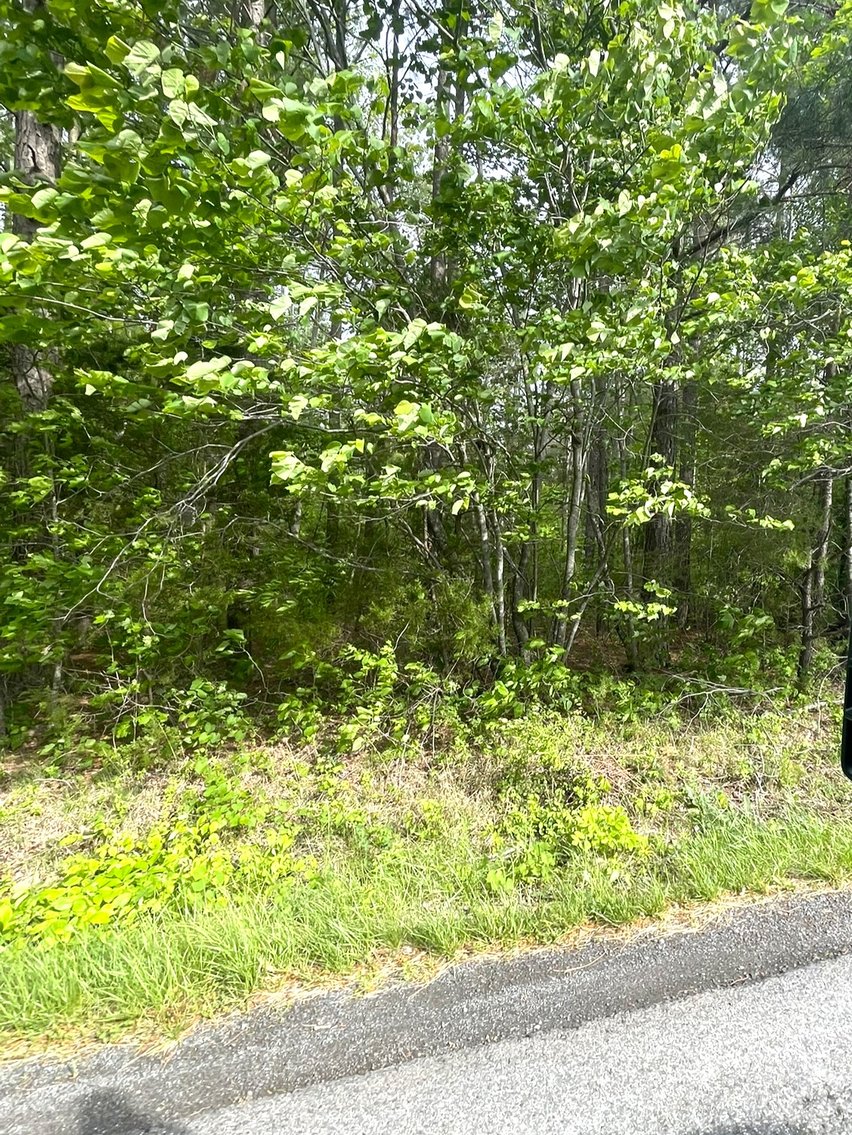 Image for Lot 2D  Three Creeks Rd,  Gladys, VA  24554