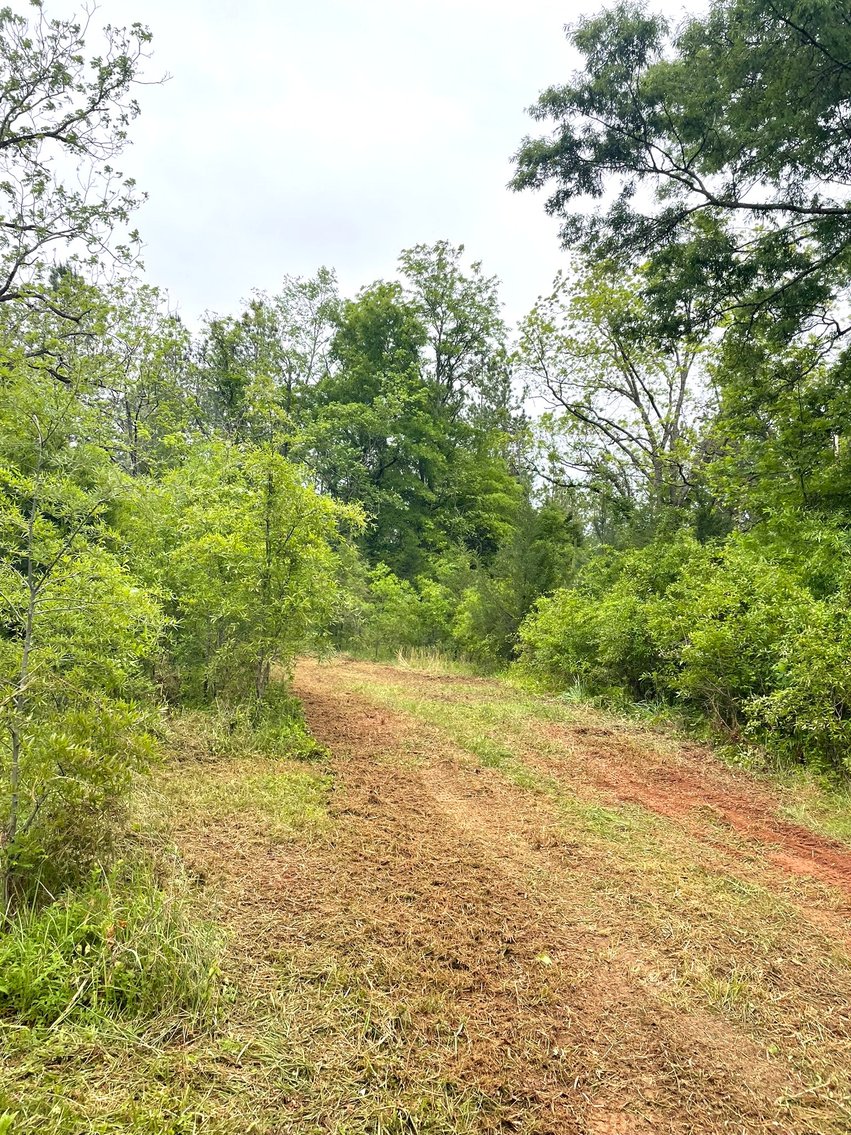 Image for Lot 2D  Three Creeks Rd,  Gladys, VA  24554