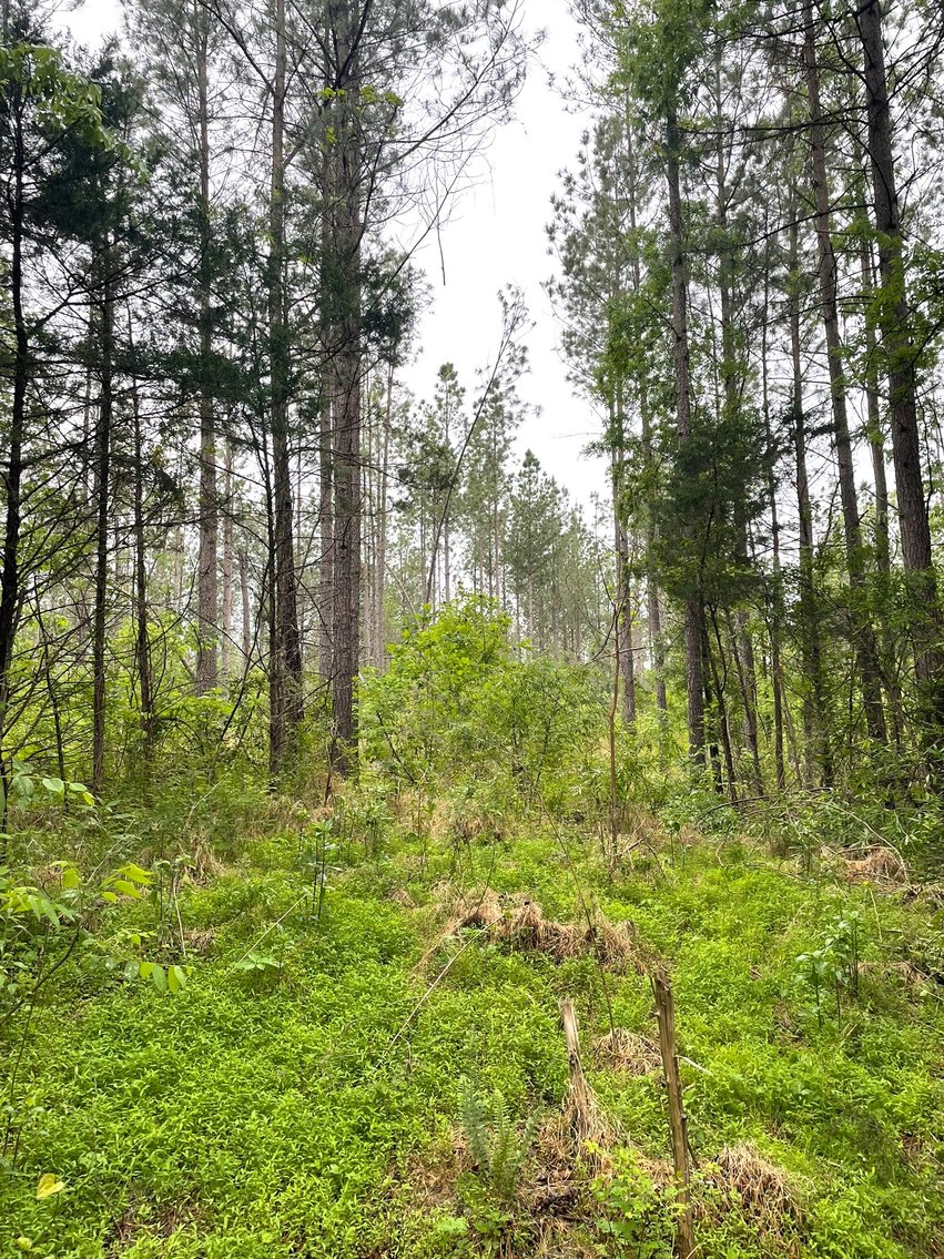 Image for Lot 2D  Three Creeks Rd,  Gladys, VA  24554
