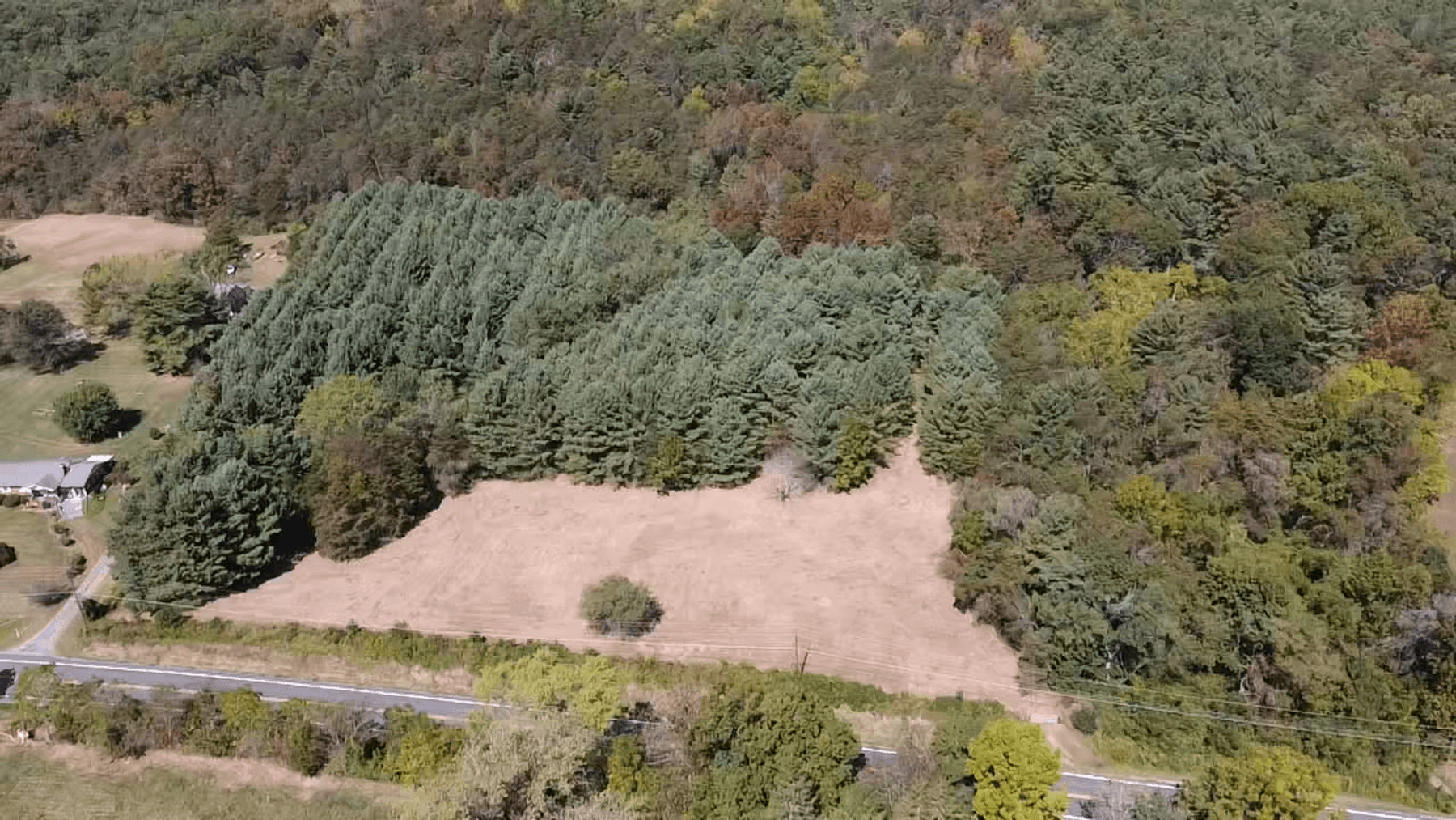 Image for **AUCTION CANCELED** 88+ Acres Wooded Property Bordering National Forest