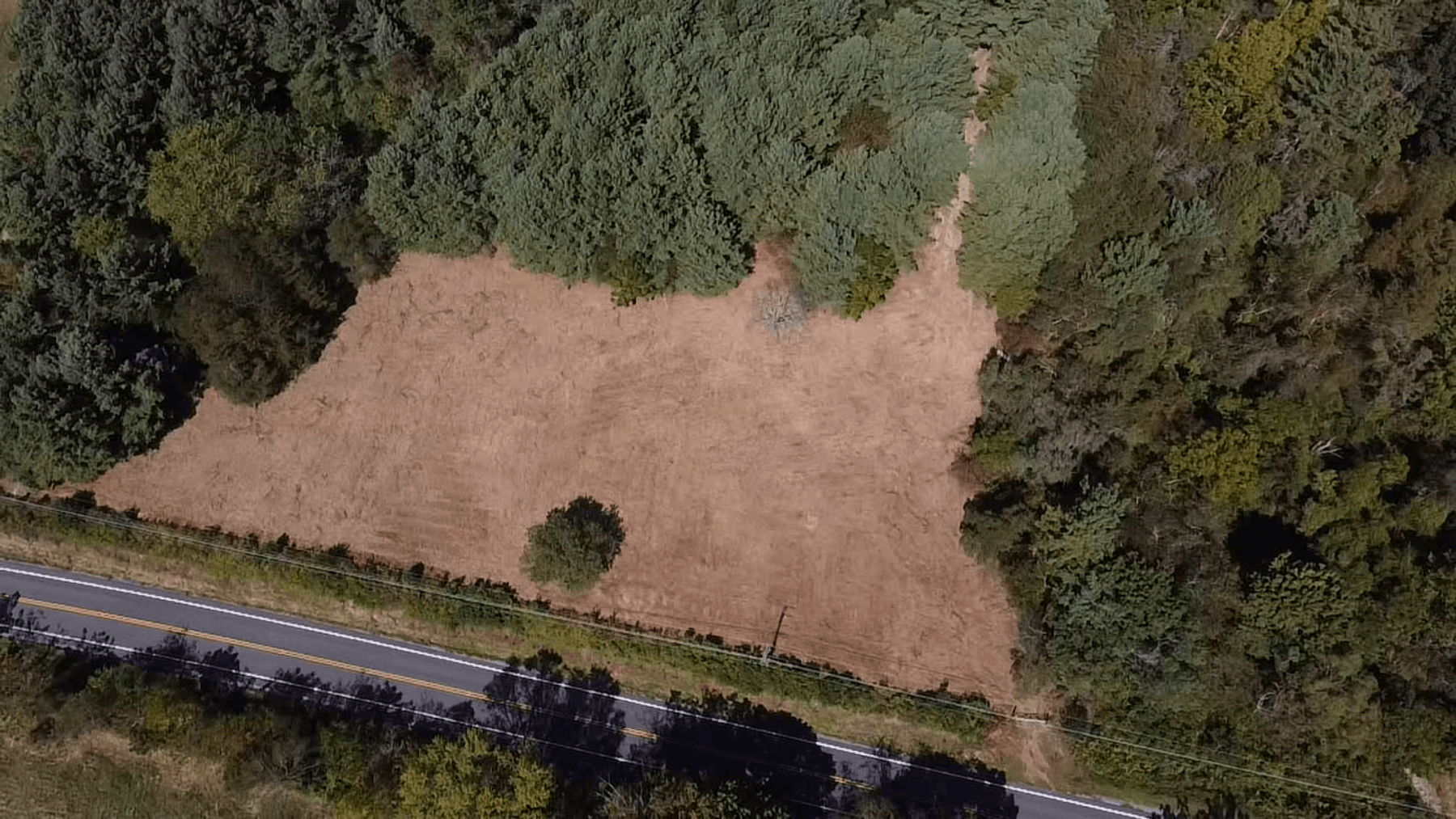 Image for **AUCTION CANCELED** 88+ Acres Wooded Property Bordering National Forest