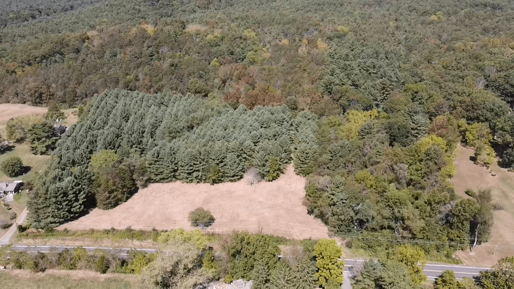 Image for **AUCTION CANCELED** 88+ Acres Wooded Property Bordering National Forest