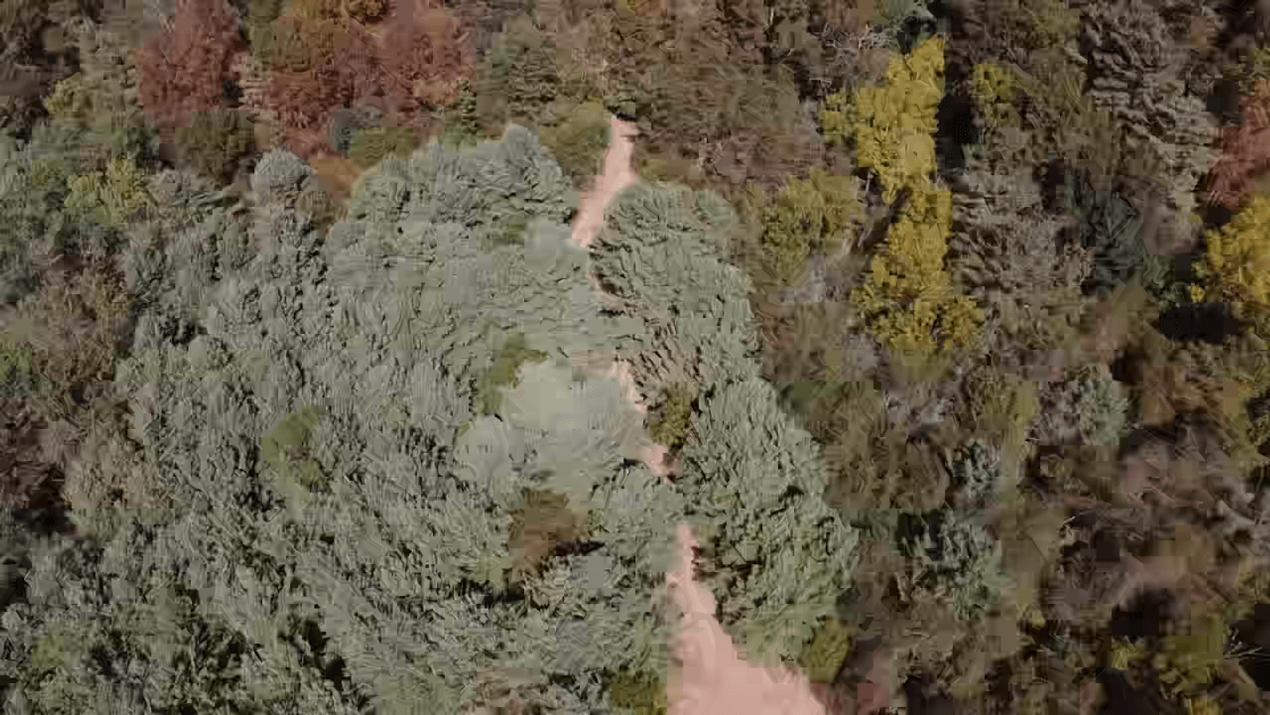 Image for **AUCTION CANCELED** 88+ Acres Wooded Property Bordering National Forest