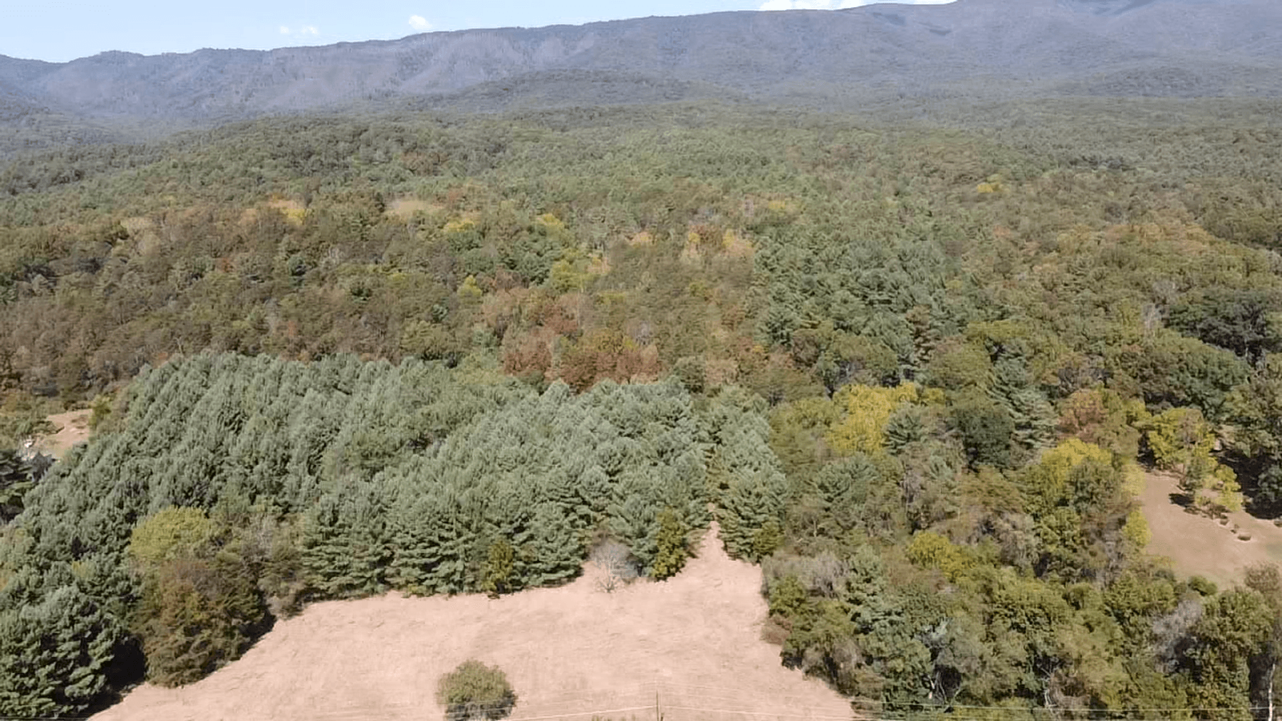 Image for **AUCTION CANCELED** 88+ Acres Wooded Property Bordering National Forest