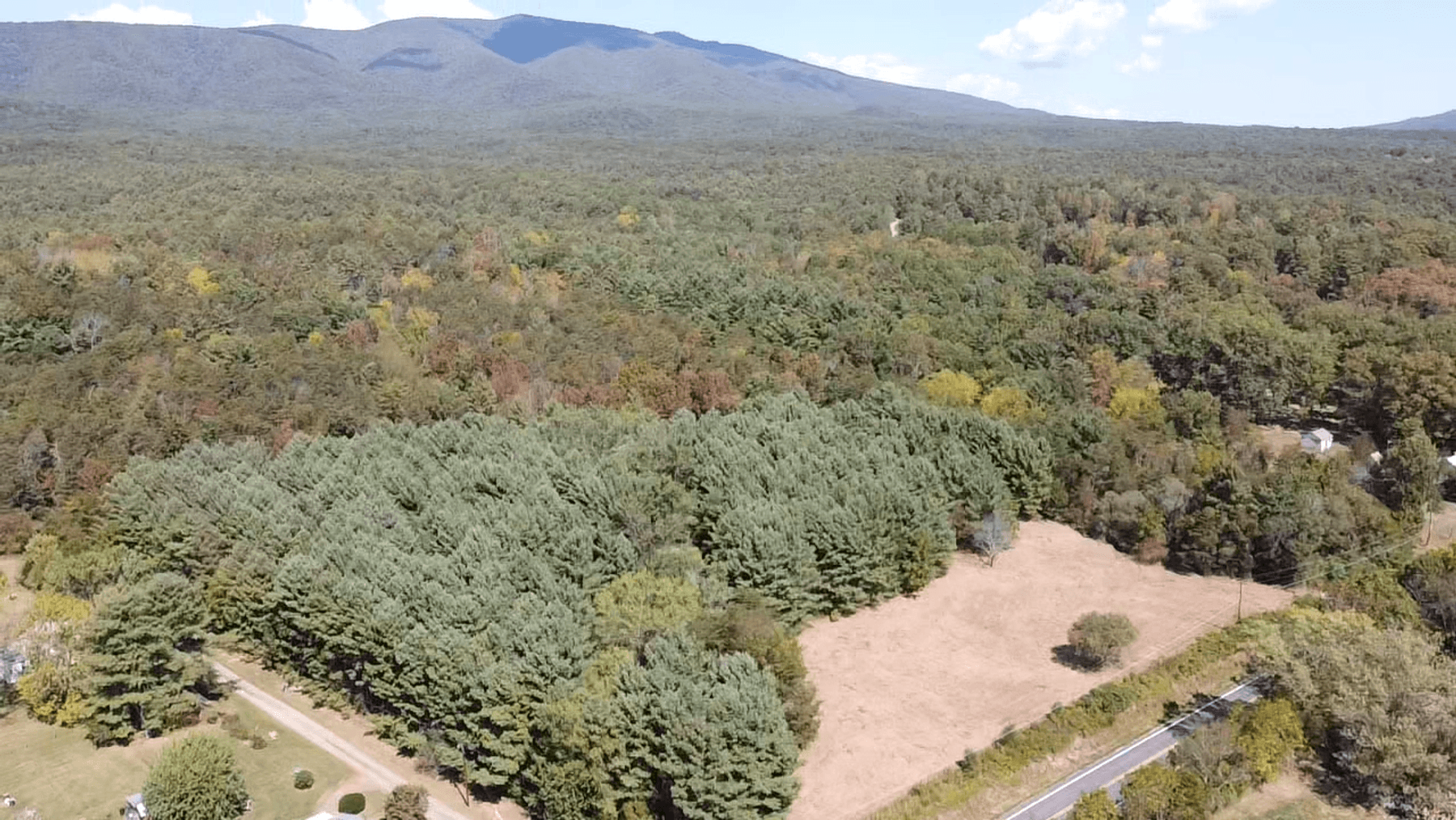 Image for **AUCTION CANCELED** 88+ Acres Wooded Property Bordering National Forest