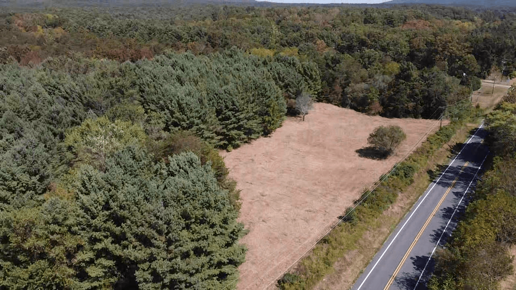 Image for **AUCTION CANCELED** 88+ Acres Wooded Property Bordering National Forest