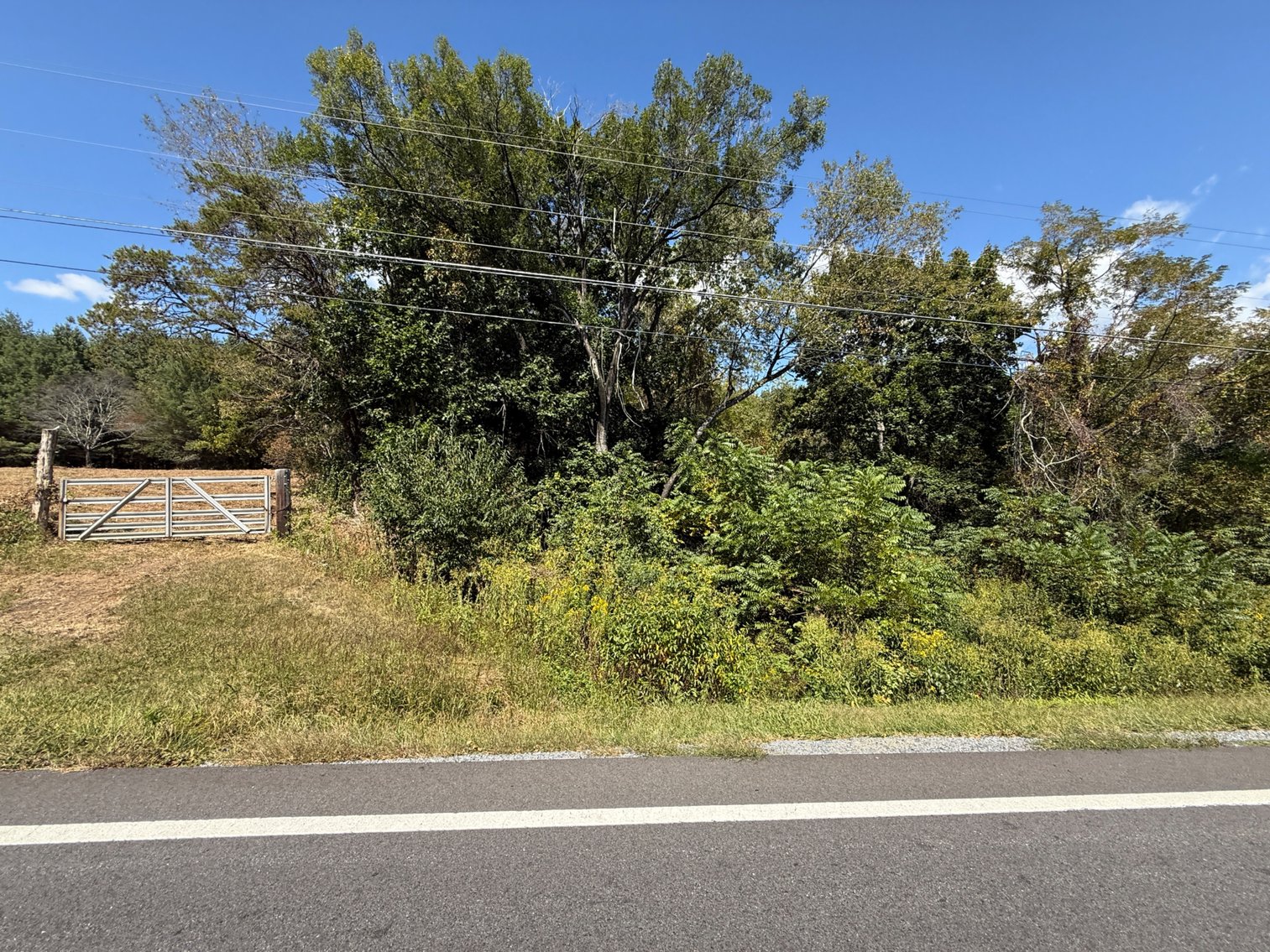 Image for **AUCTION CANCELED** 88+ Acres Wooded Property Bordering National Forest