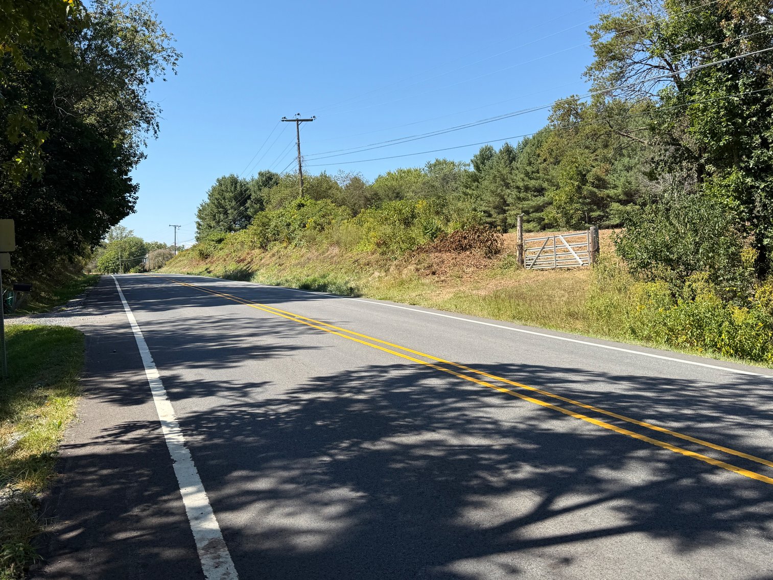 Image for **AUCTION CANCELED** 88+ Acres Wooded Property Bordering National Forest