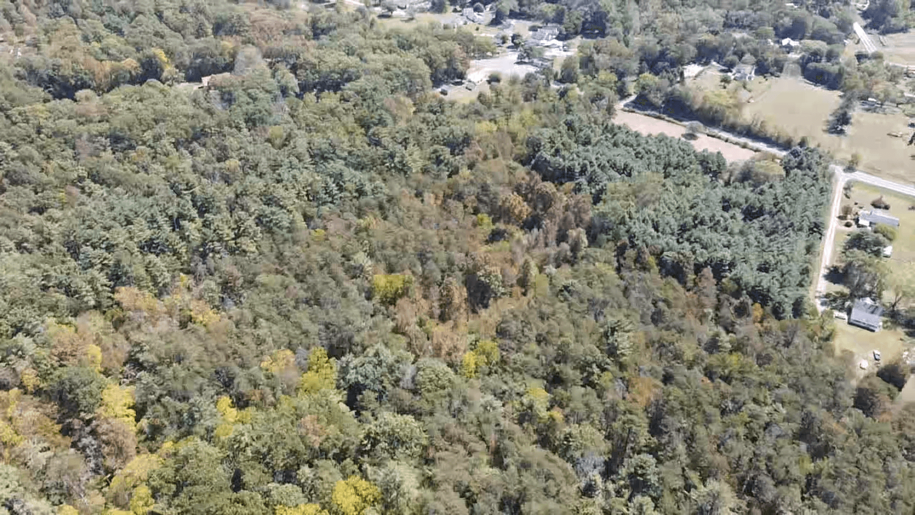 Image for **AUCTION CANCELED** 88+ Acres Wooded Property Bordering National Forest