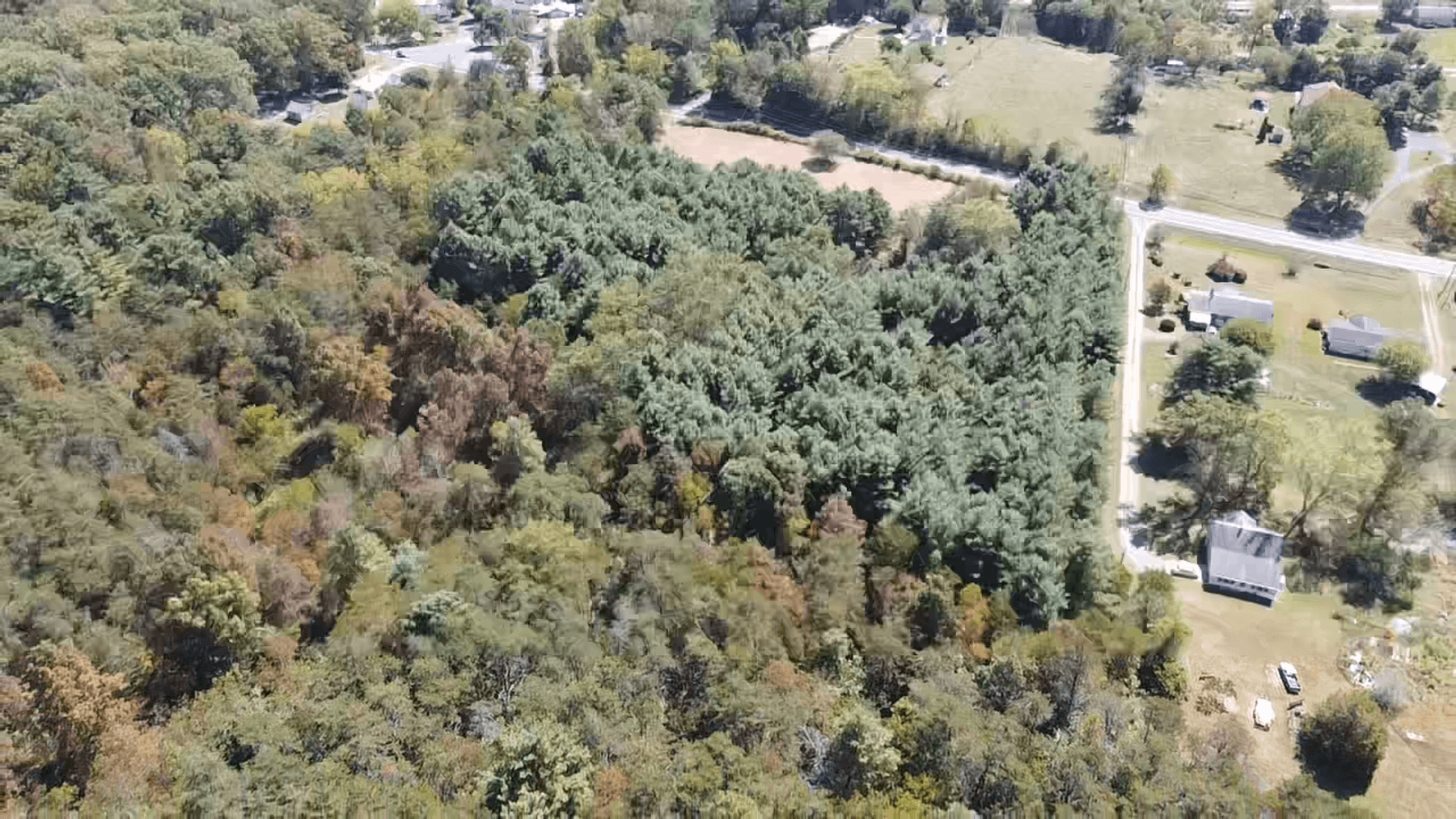 Image for **AUCTION CANCELED** 88+ Acres Wooded Property Bordering National Forest