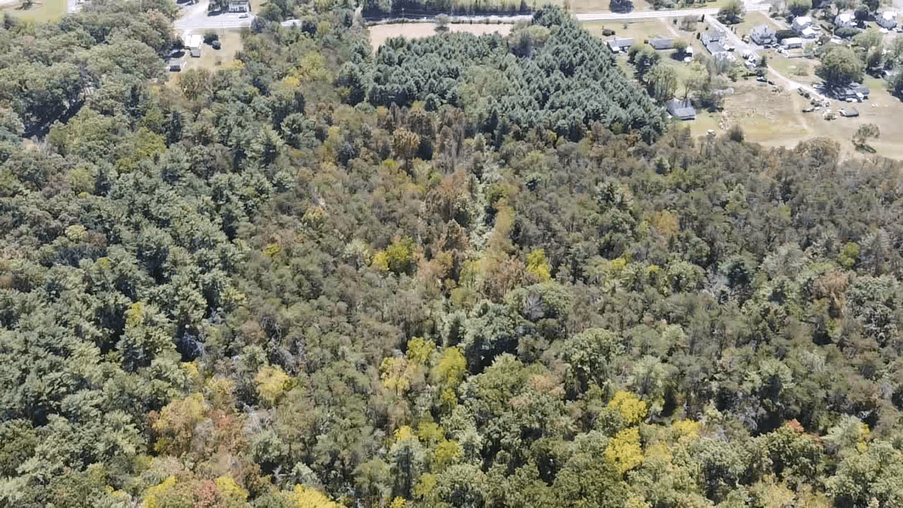 Image for **AUCTION CANCELED** 88+ Acres Wooded Property Bordering National Forest