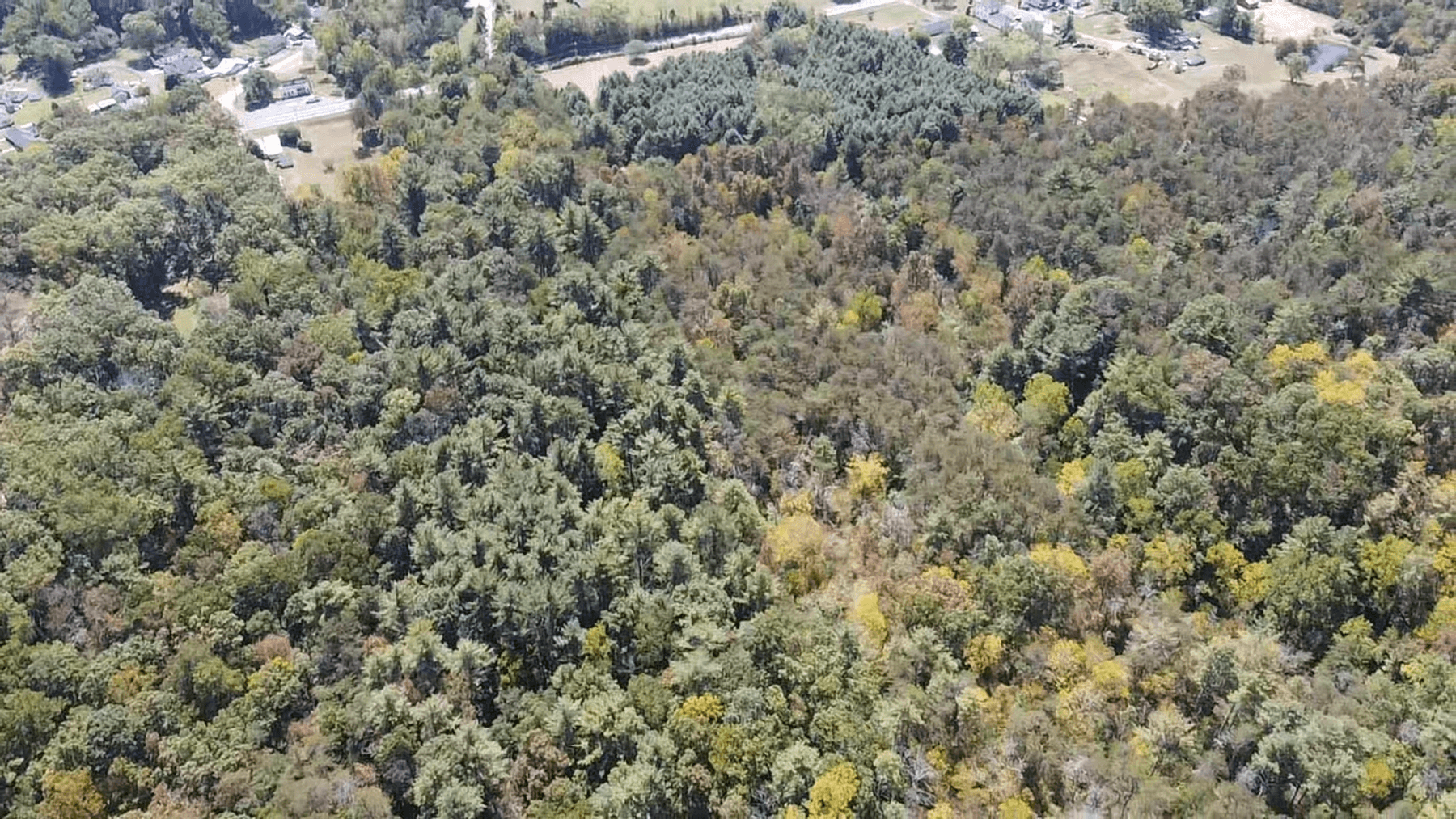 Image for **AUCTION CANCELED** 88+ Acres Wooded Property Bordering National Forest