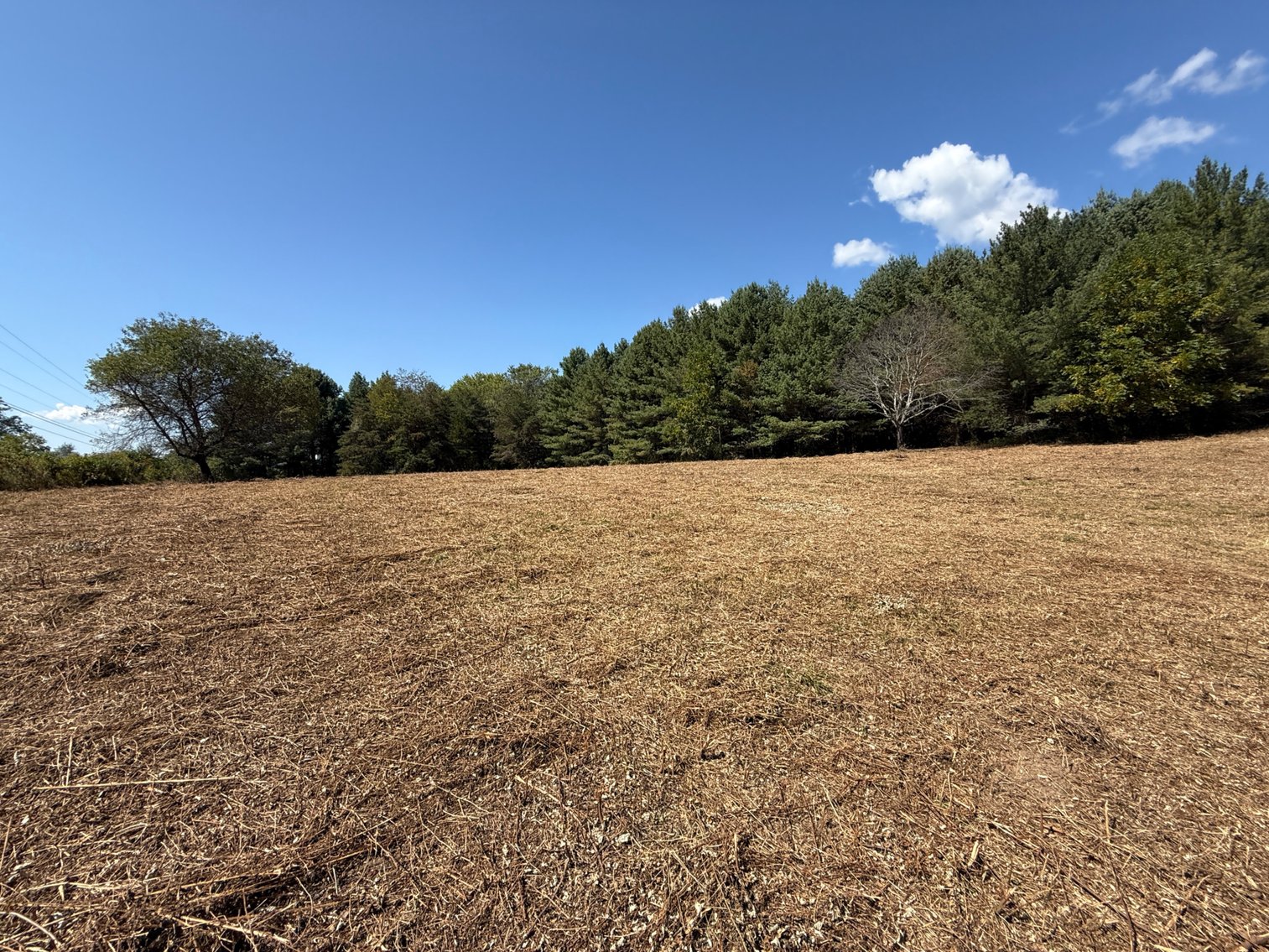 Image for **AUCTION CANCELED** 88+ Acres Wooded Property Bordering National Forest