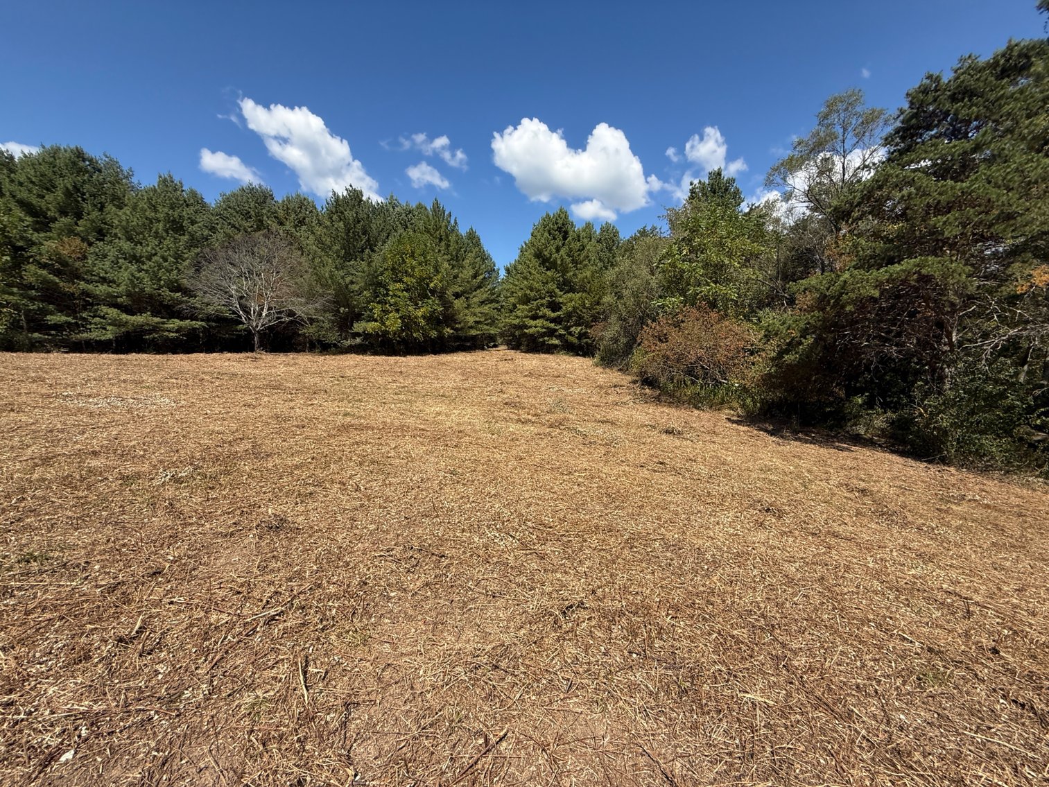 Image for **AUCTION CANCELED** 88+ Acres Wooded Property Bordering National Forest