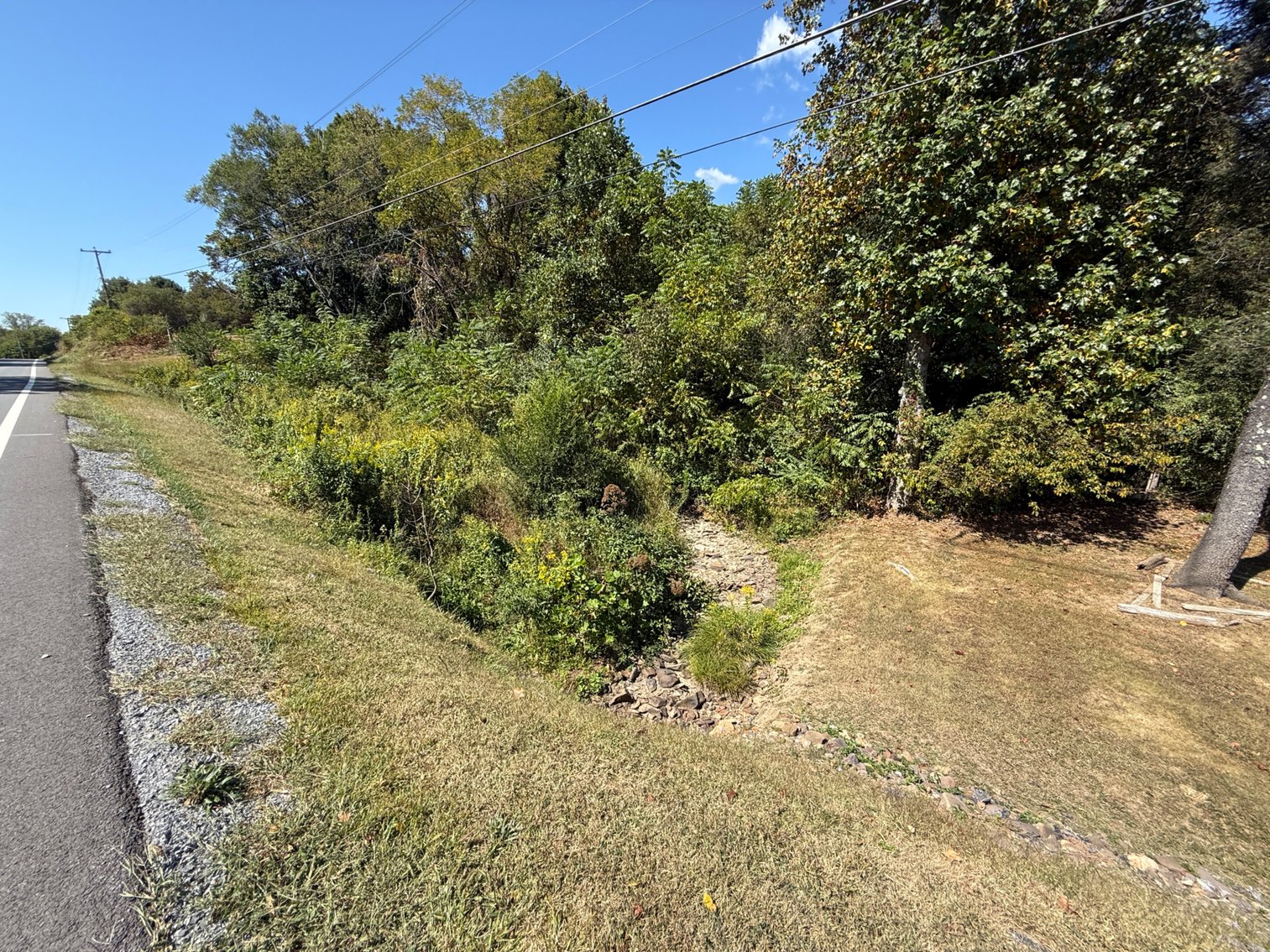 Image for **AUCTION CANCELED** 88+ Acres Wooded Property Bordering National Forest