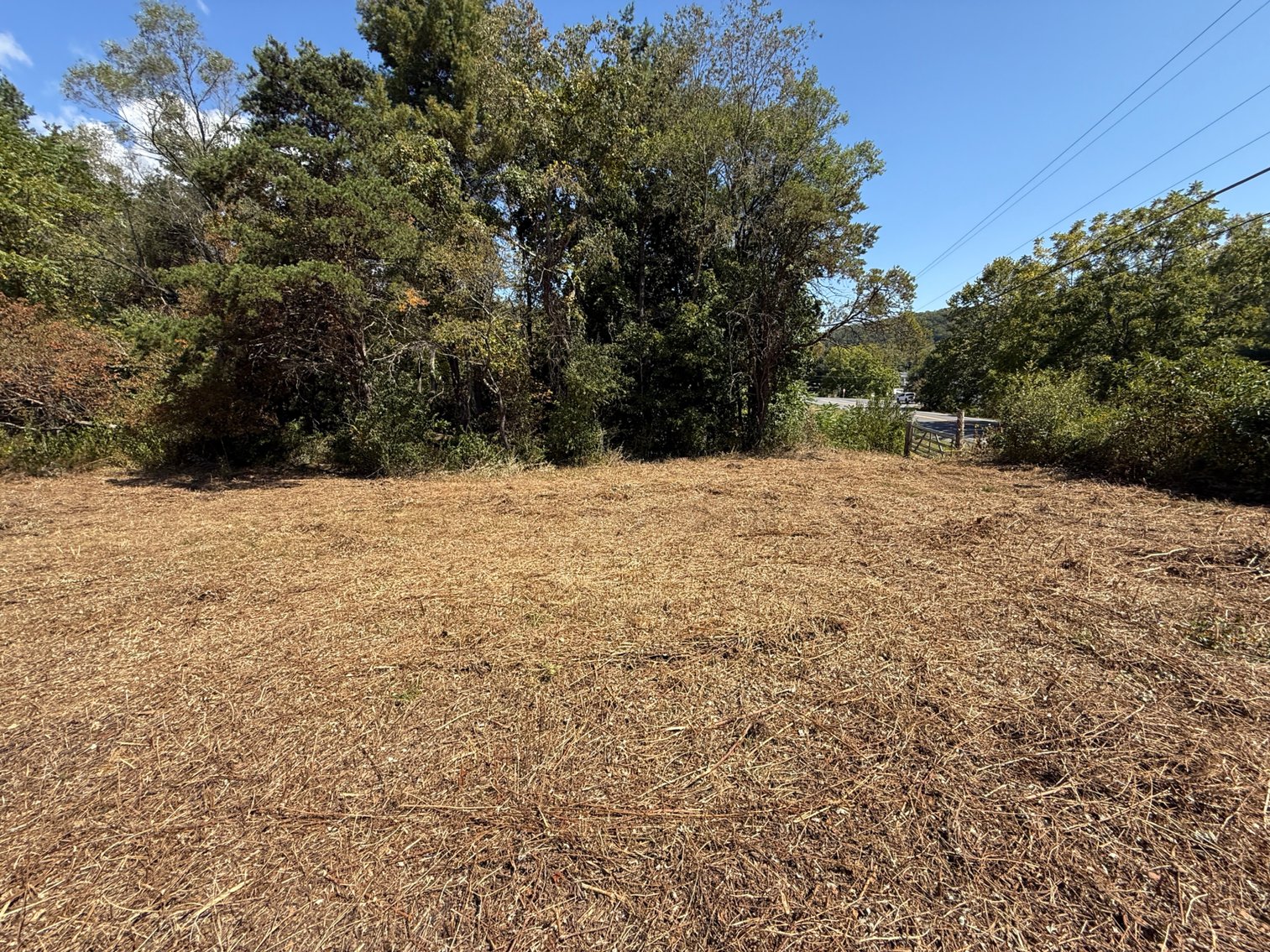 Image for **AUCTION CANCELED** 88+ Acres Wooded Property Bordering National Forest