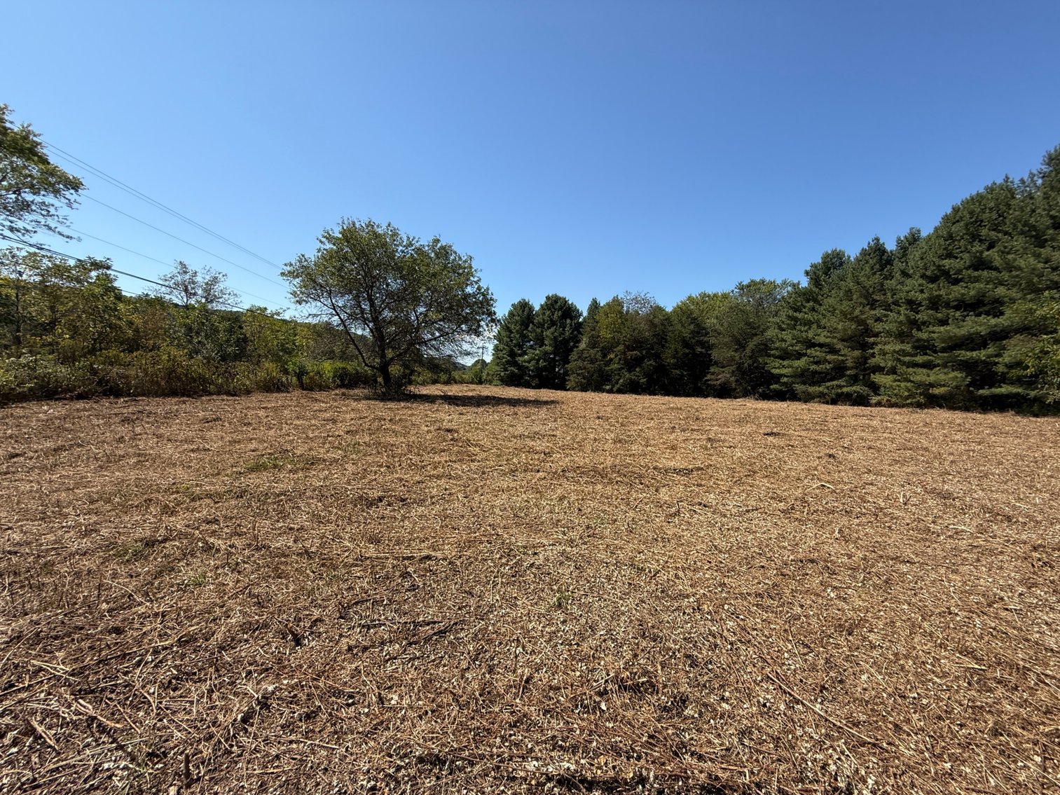 Image for **AUCTION CANCELED** 88+ Acres Wooded Property Bordering National Forest