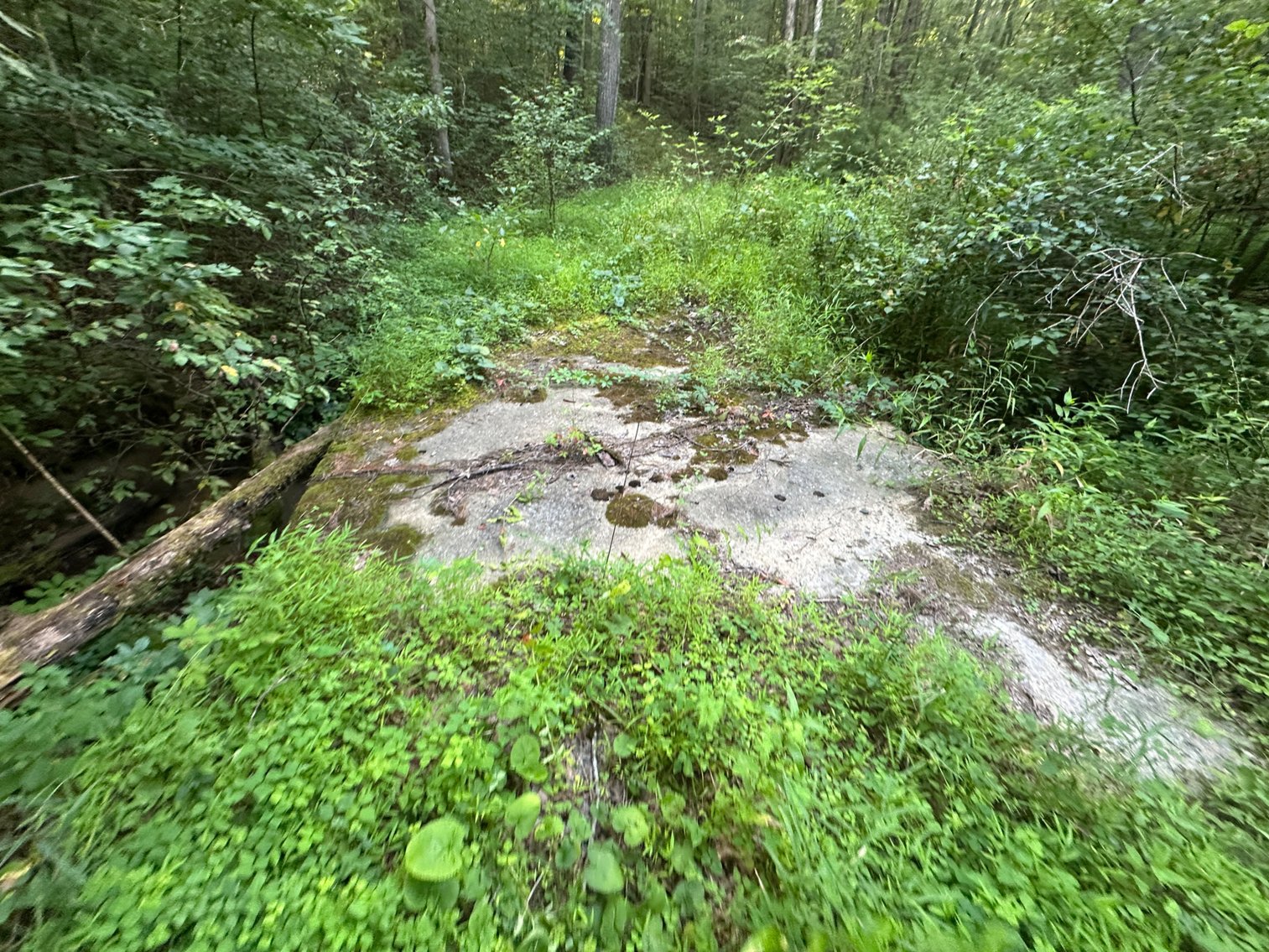 Image for **AUCTION CANCELED** 88+ Acres Wooded Property Bordering National Forest