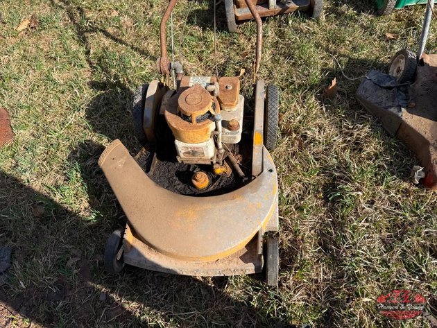 Image for Group of Lawn Push Mowers
