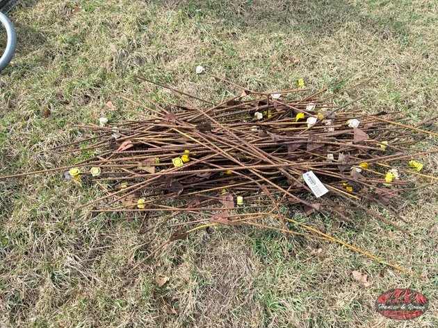 Image for Pile of Electric Fence Posts